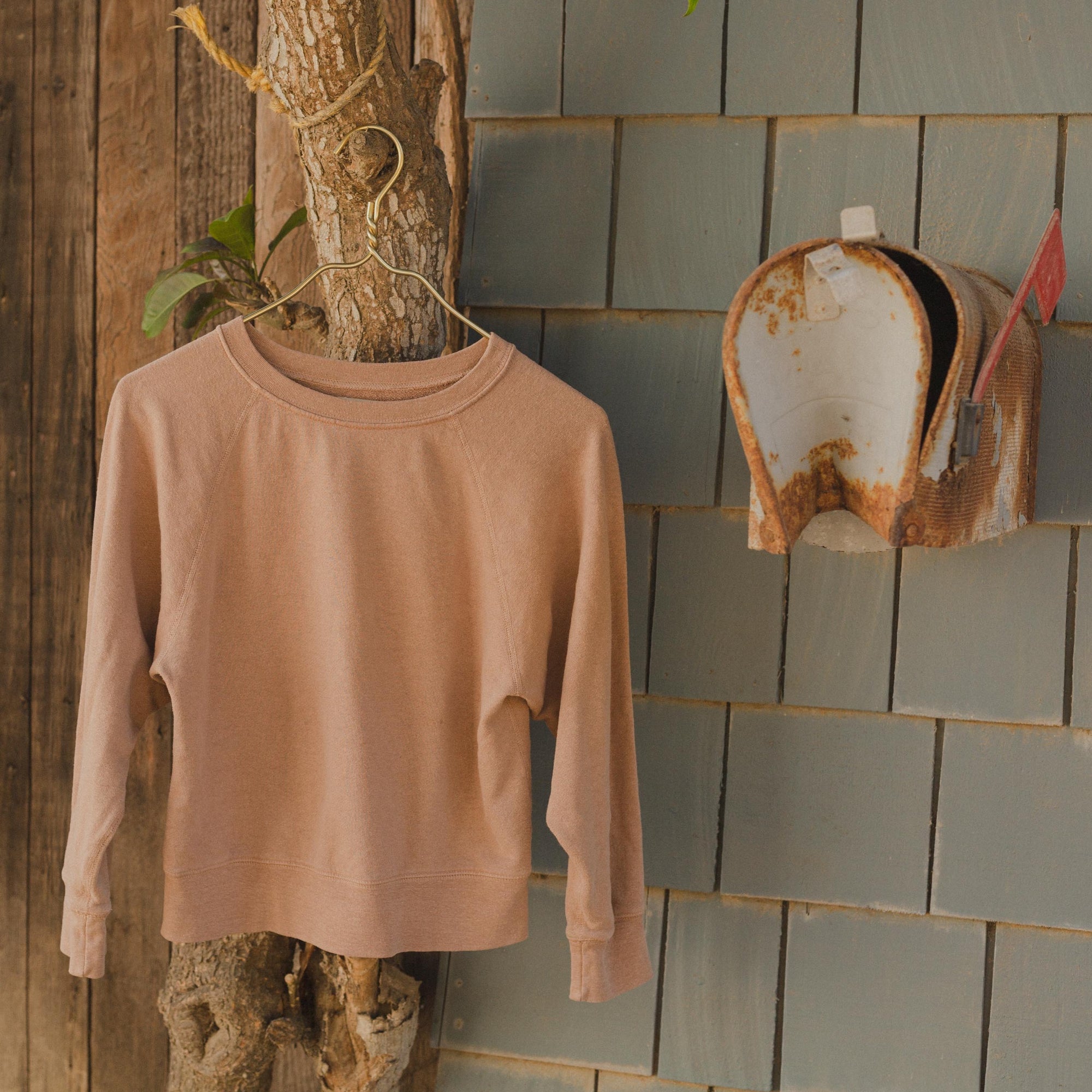 Womens Raglan Crewneck in Brown