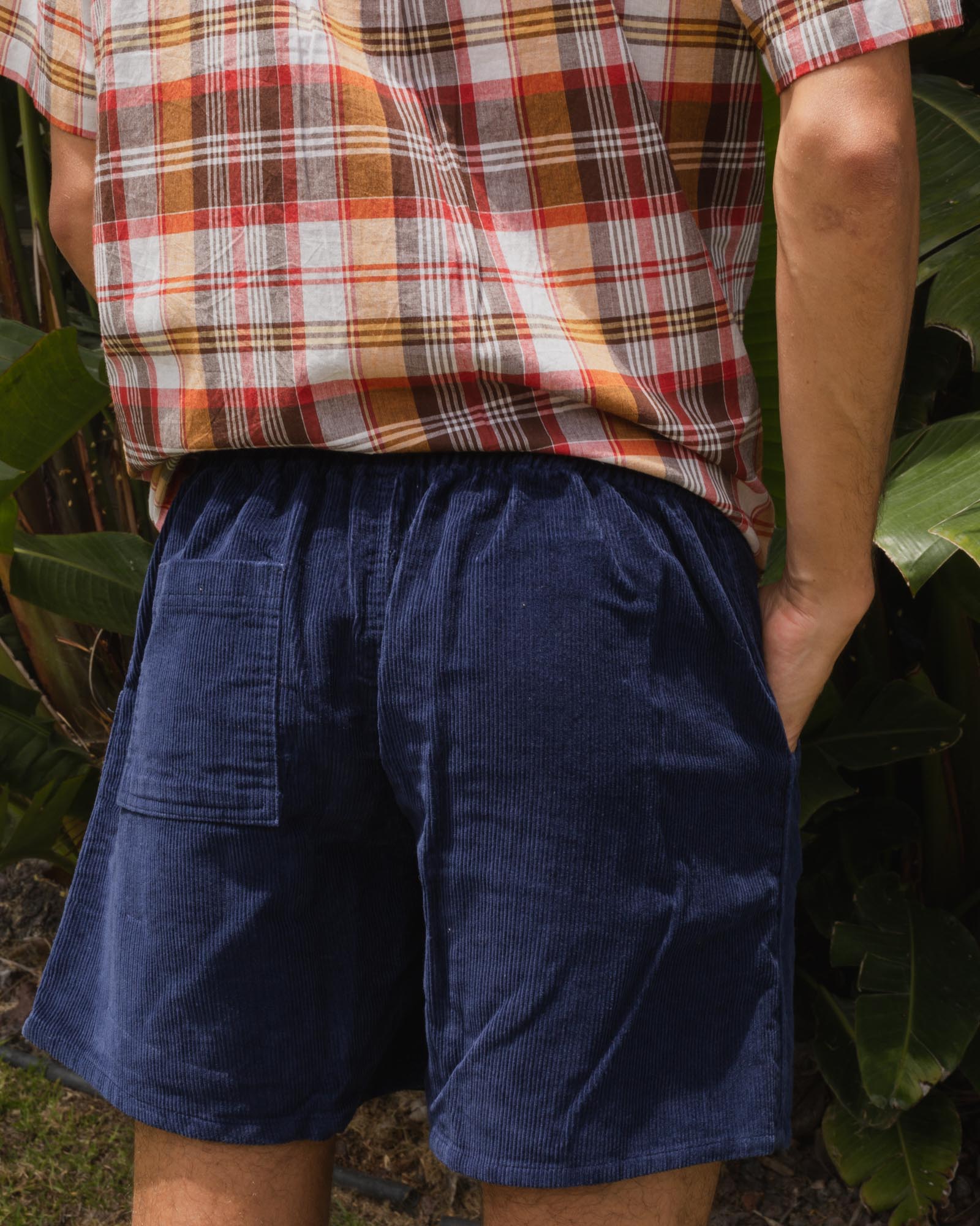 Daydream Garabaldi Shorts - Navy