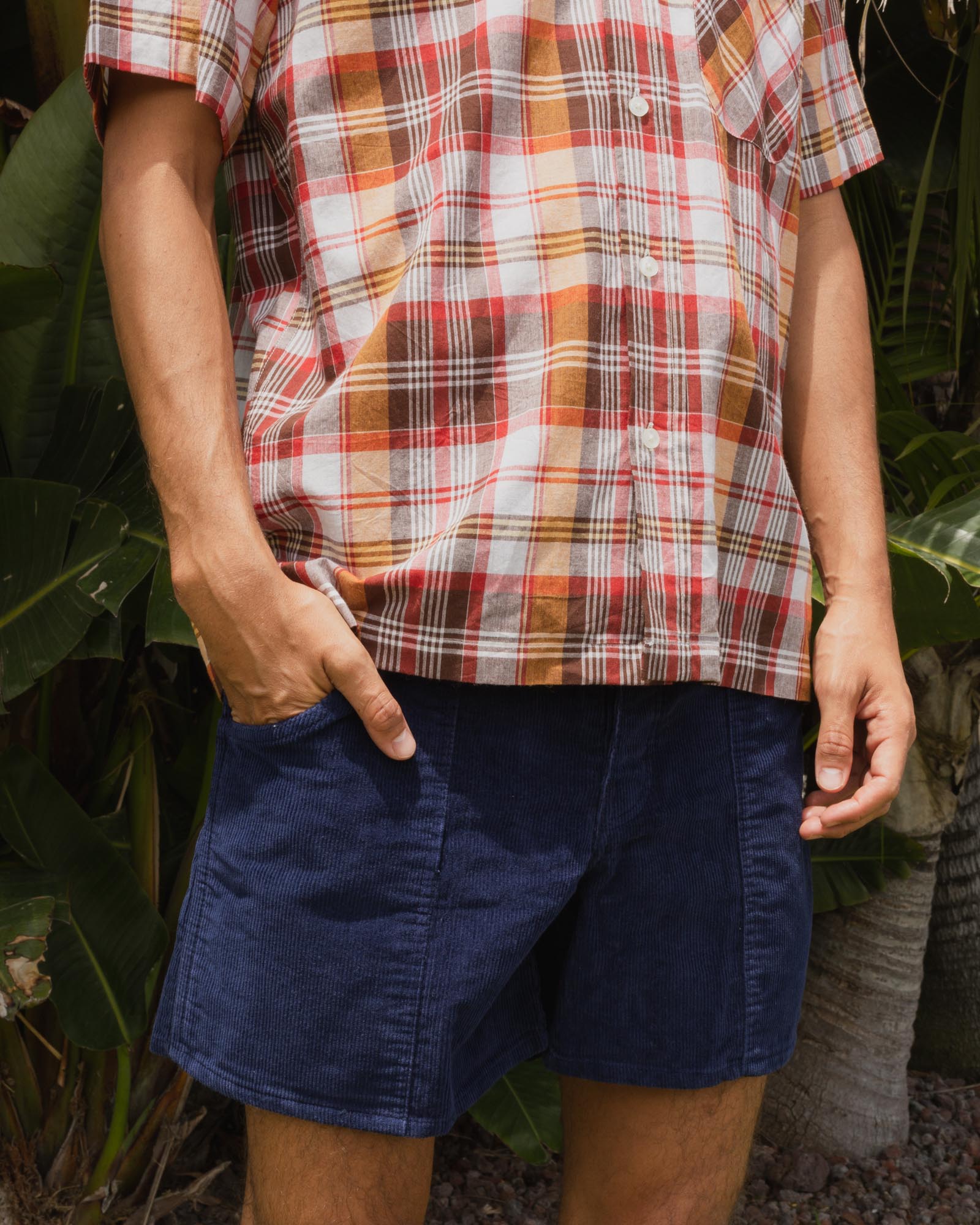 Daydream Garabaldi Shorts - Navy