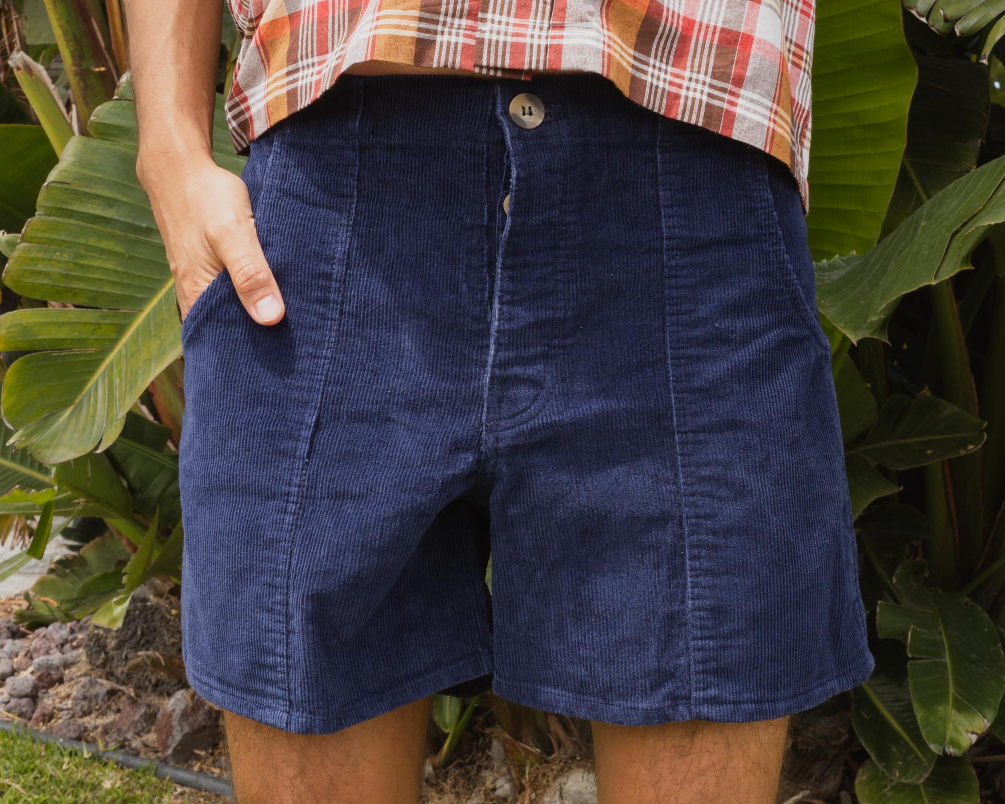 Daydream Garabaldi Shorts - Navy