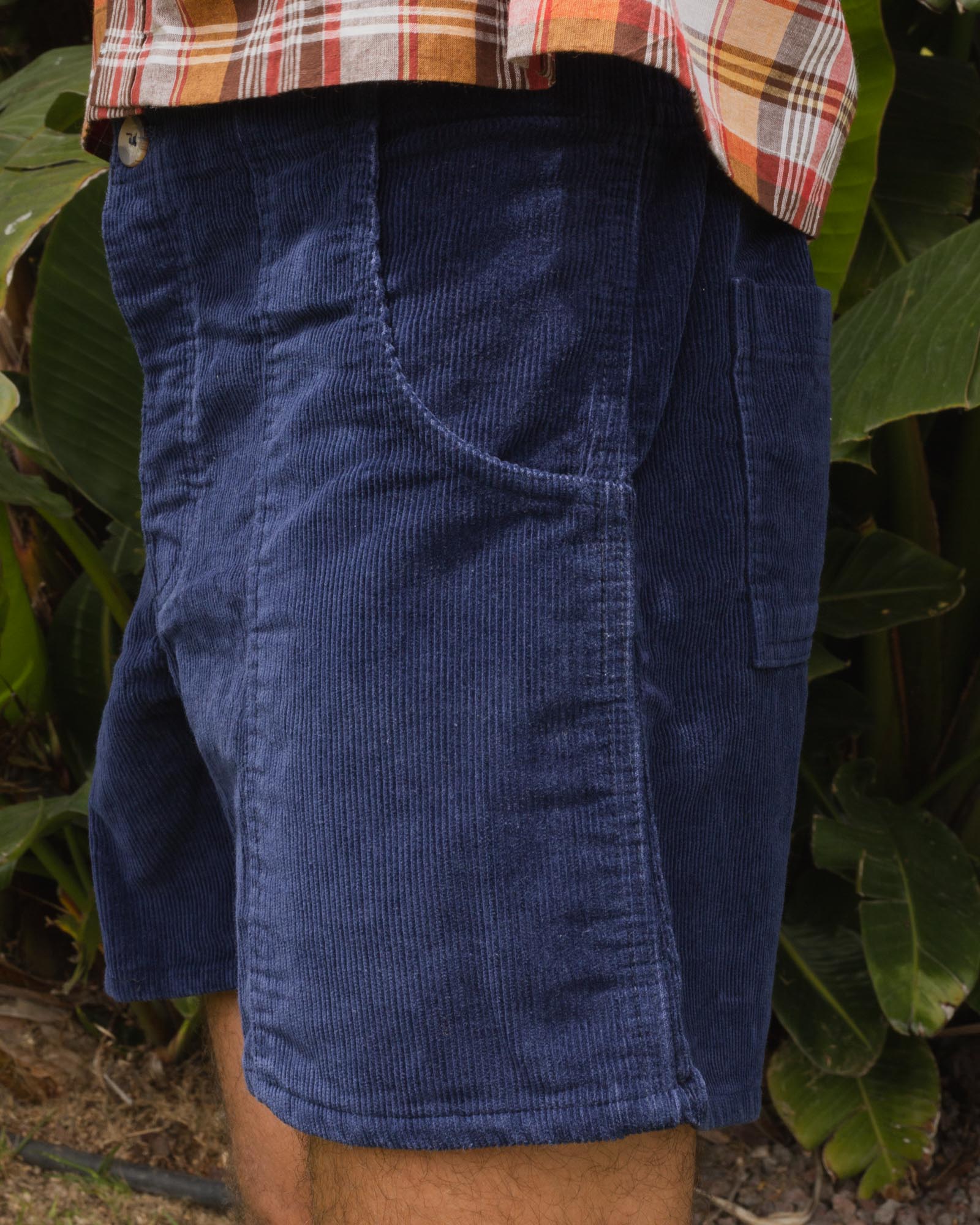 Daydream Garabaldi Shorts - Navy