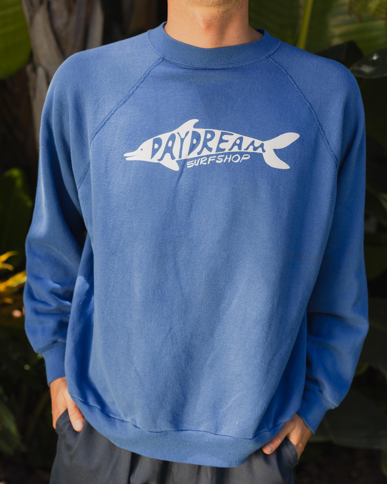 Vintage Daydream Dolphin Sweatshirt