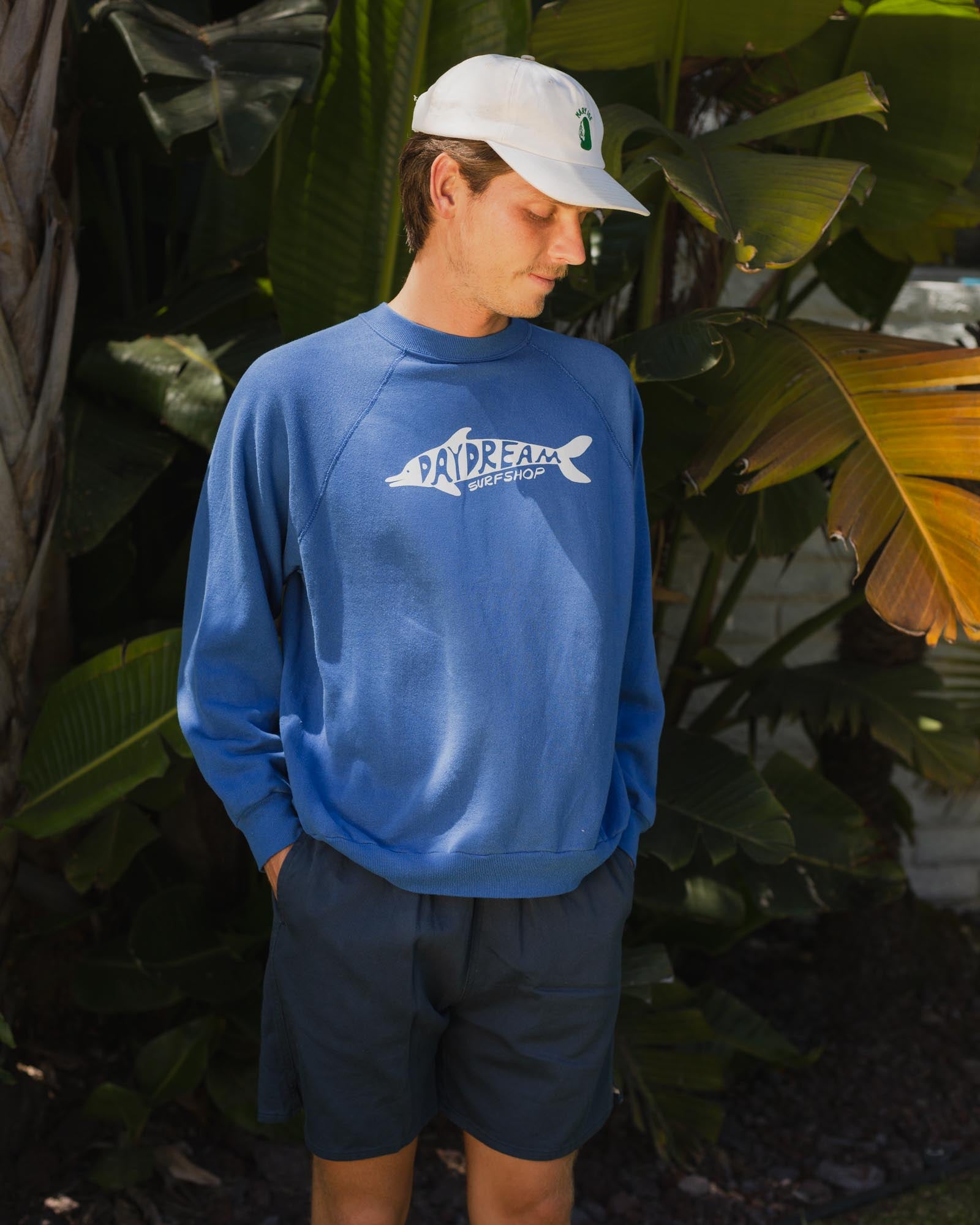 Vintage Daydream Dolphin Sweatshirt