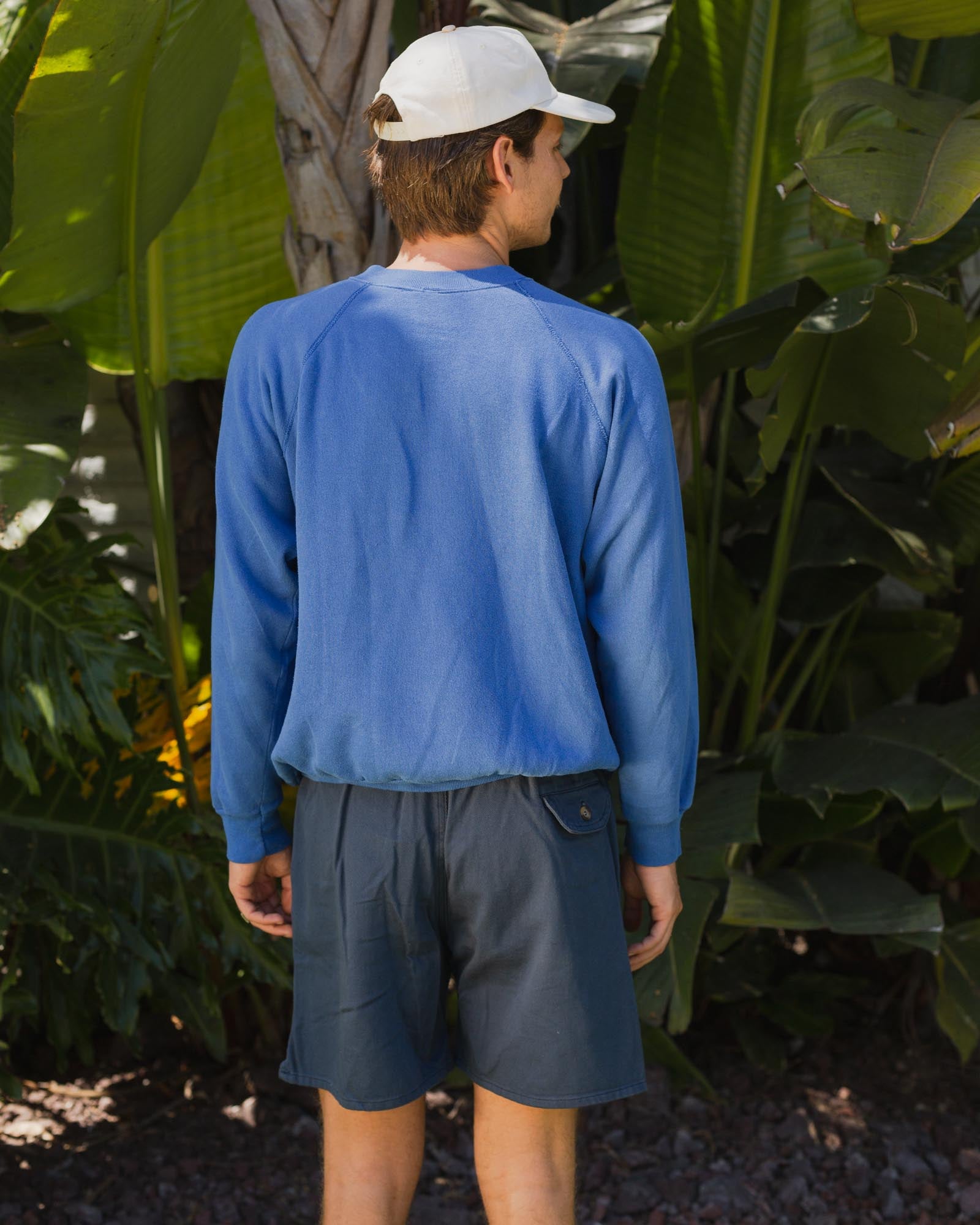 Vintage Daydream Dolphin Sweatshirt