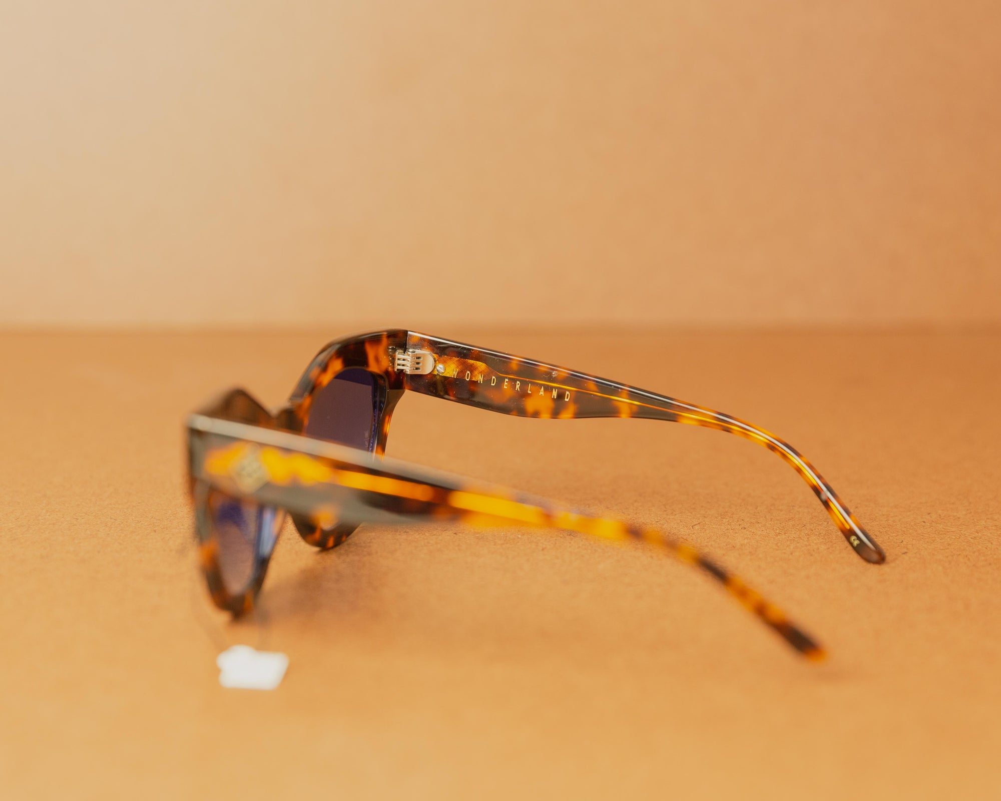 Wonderland ZZYZX Sunglasses in Havana/Gradient Blue
