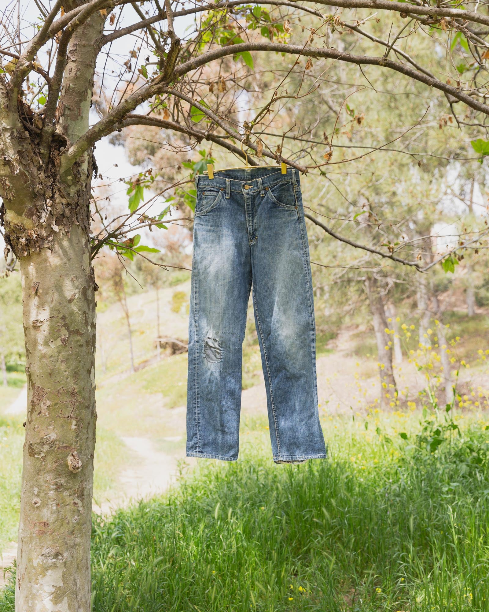 Vintage Union Made Lee Riders