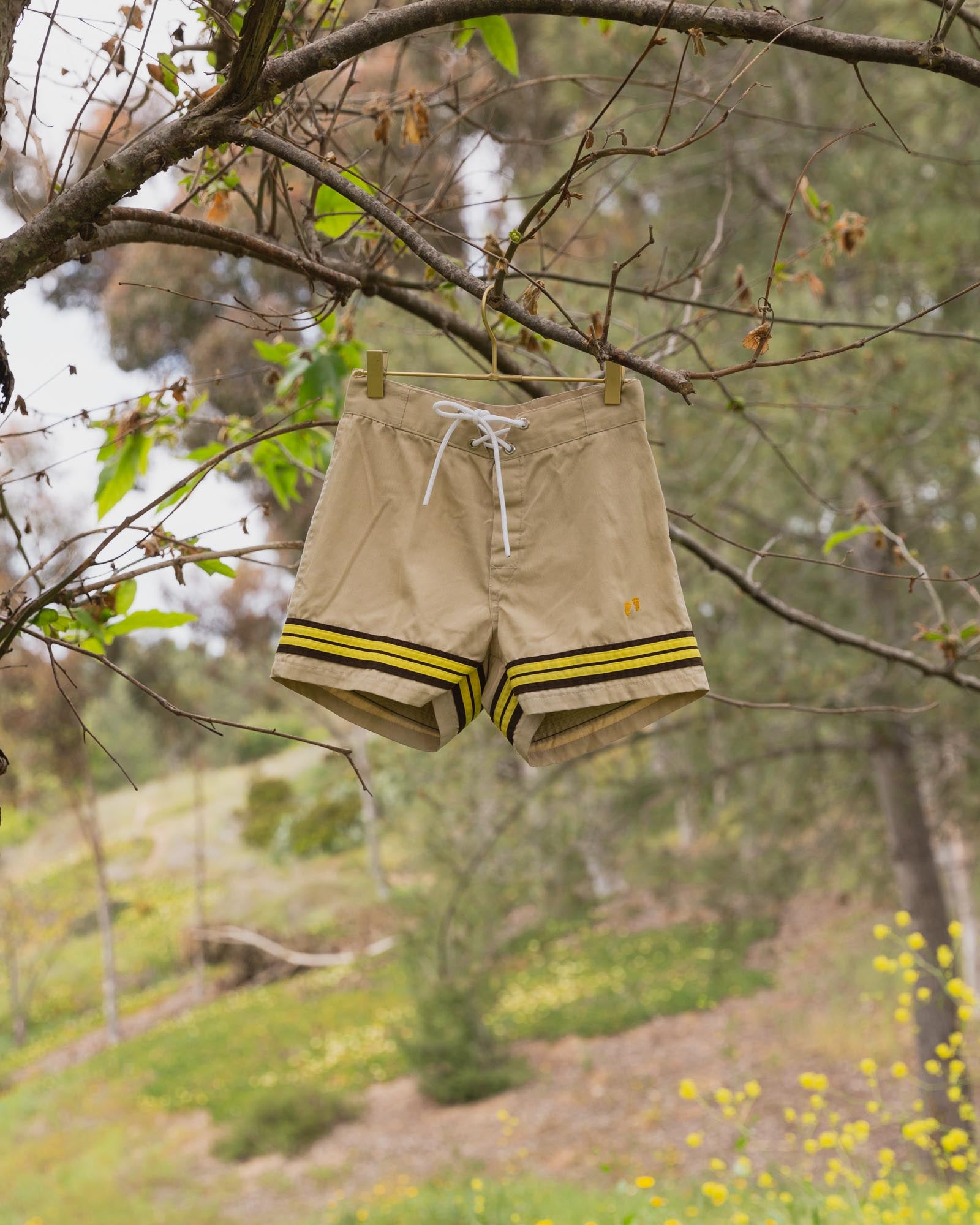 Vintage Hang Ten Trunks