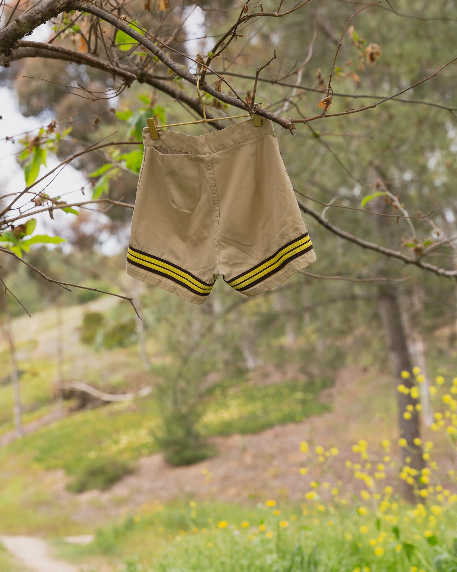 Vintage Hang Ten Trunks