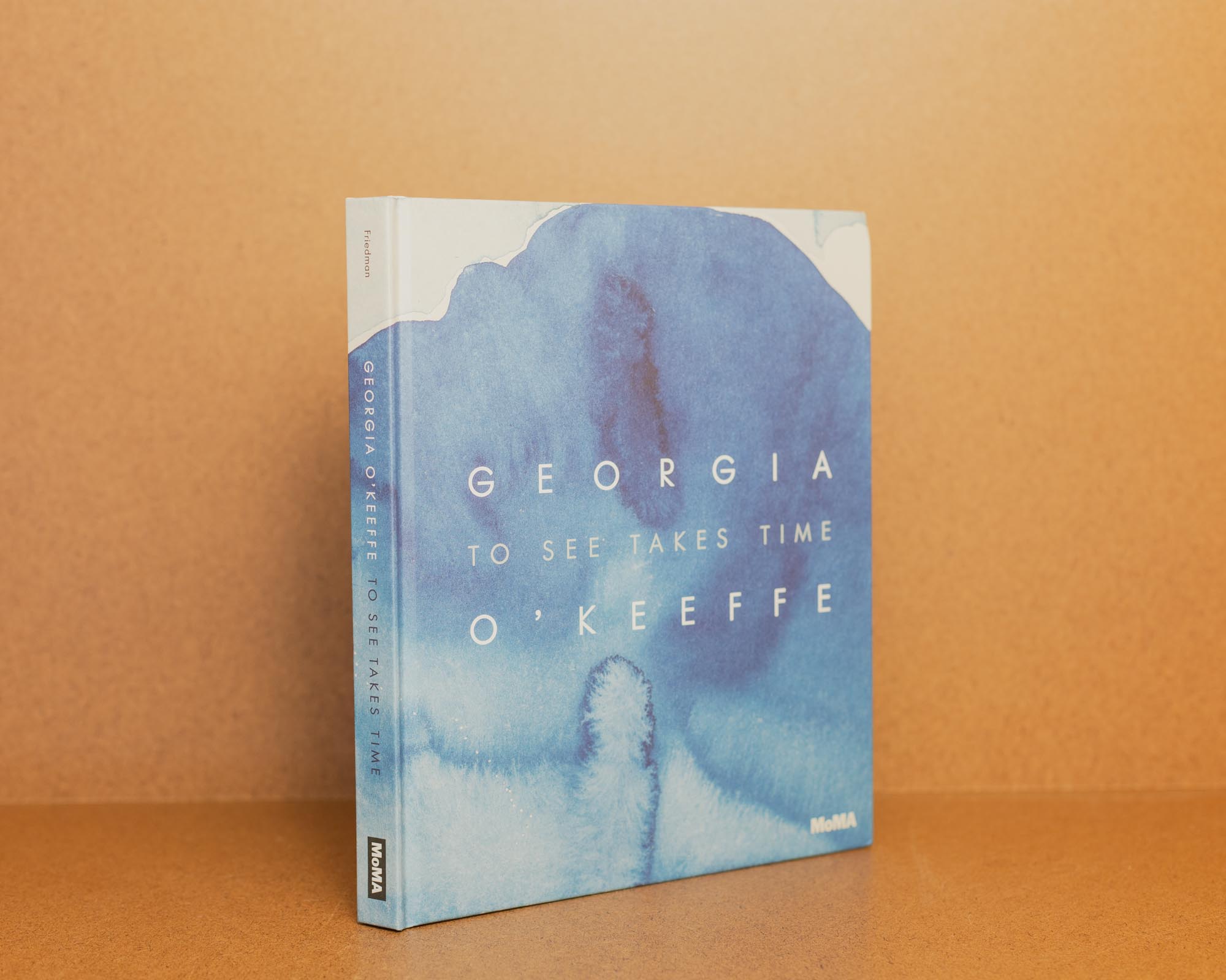 Georgia O' Keefe: To See Takes Time