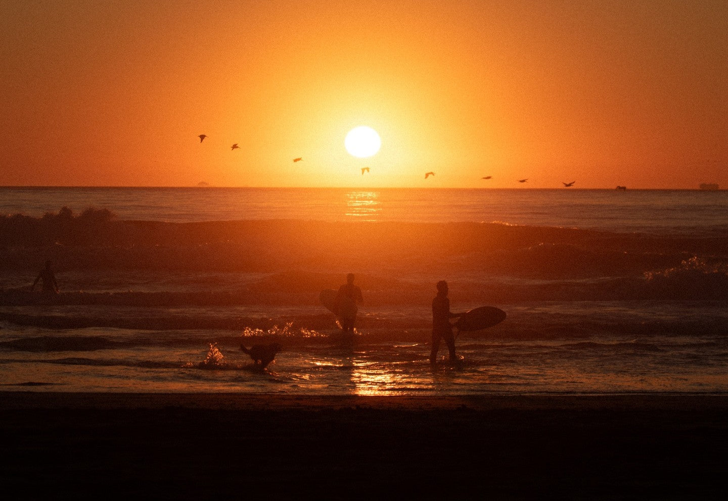 Slideshow Image 12