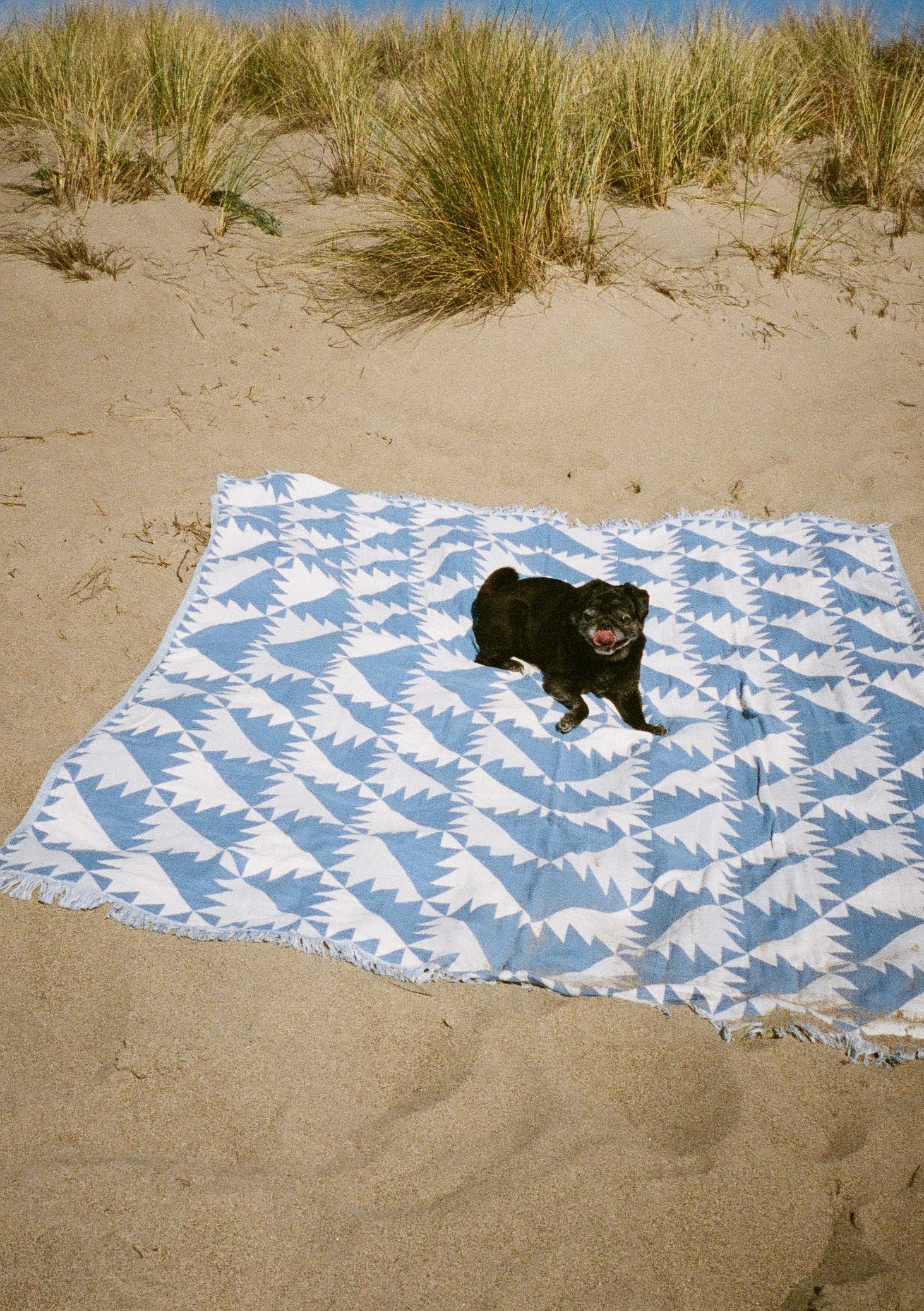 Daydream Driftweave Beach Blanket - Lagoon
