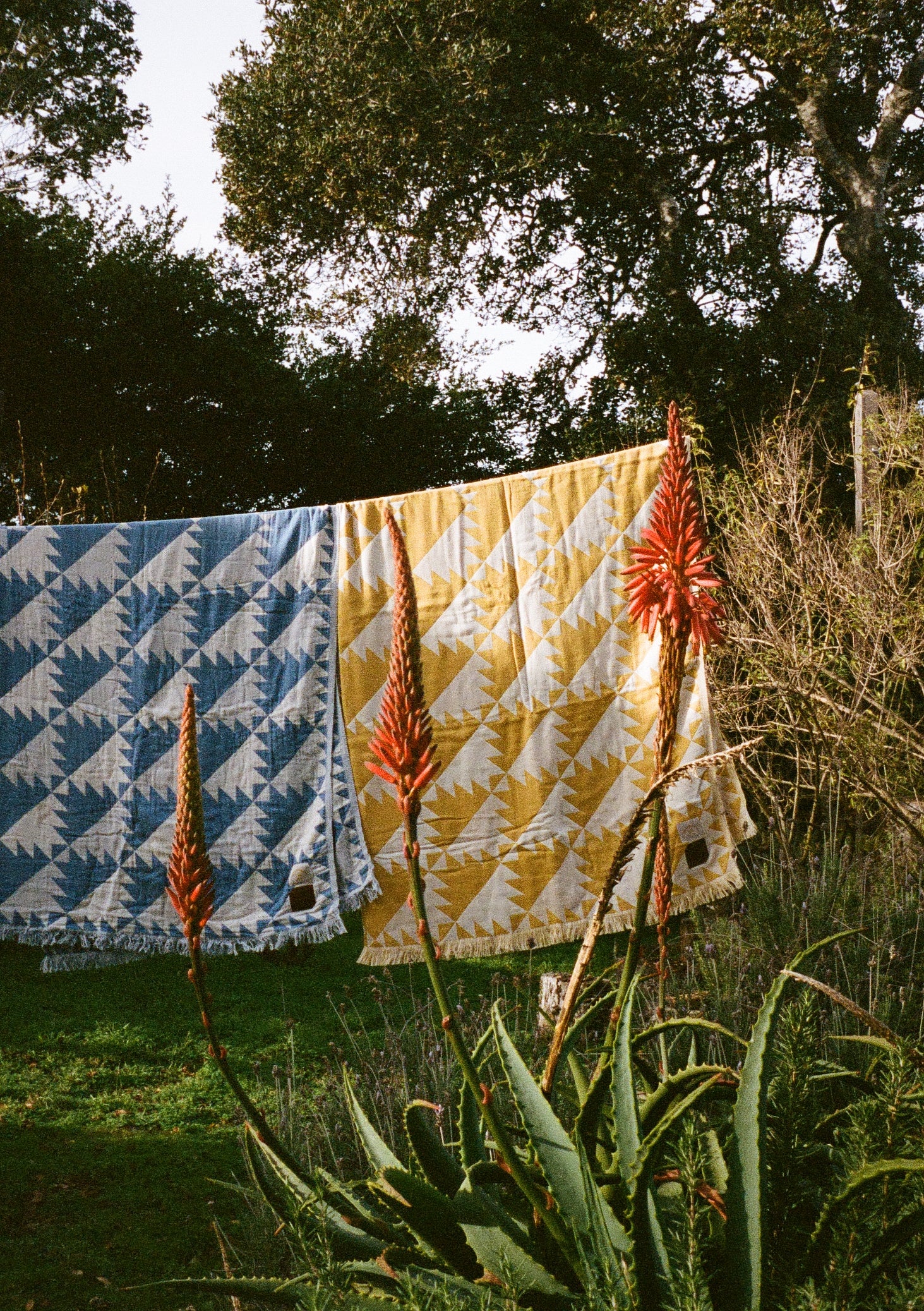 Daydream Driftweave Beach Blanket - Curry