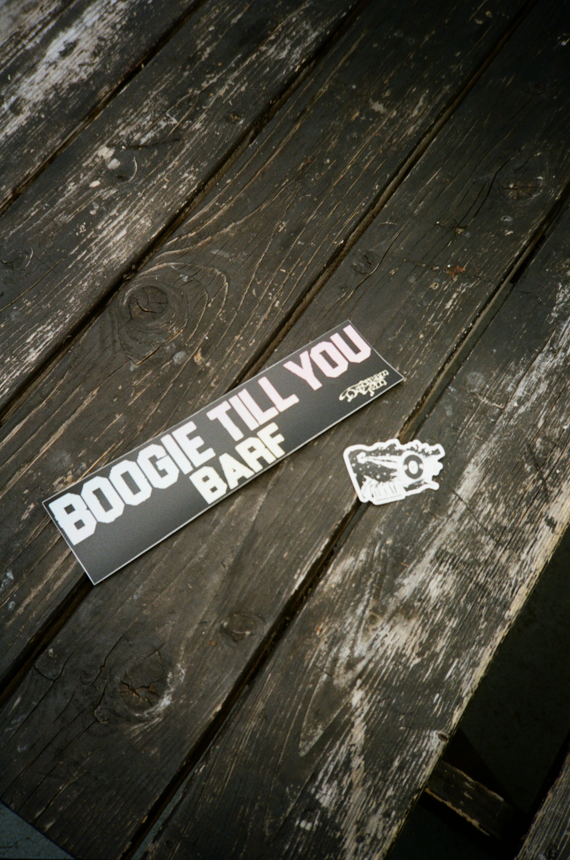 Daydream FM Bumper Sticker - "Boogie"