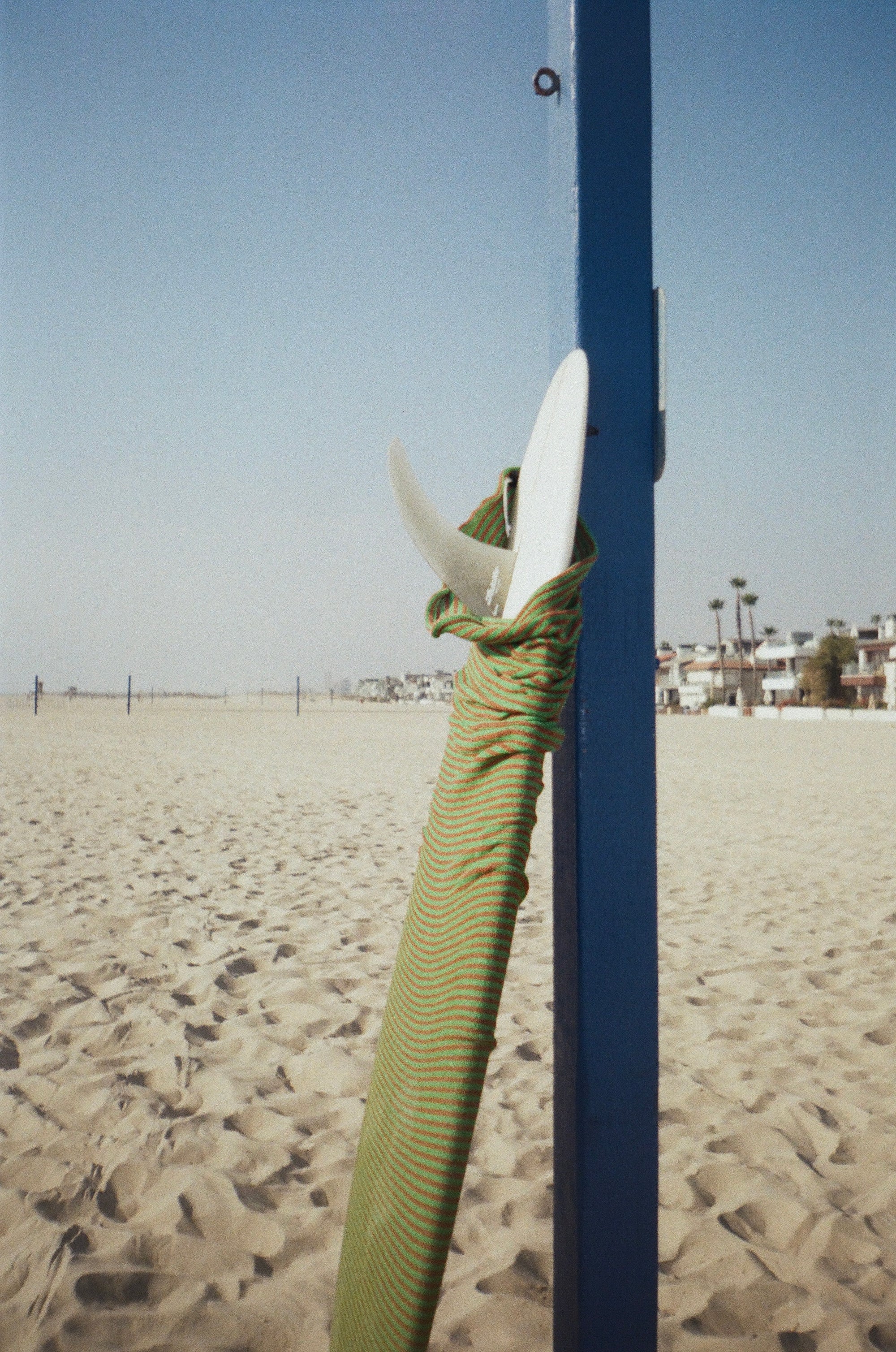 Wild Things Boardsocks