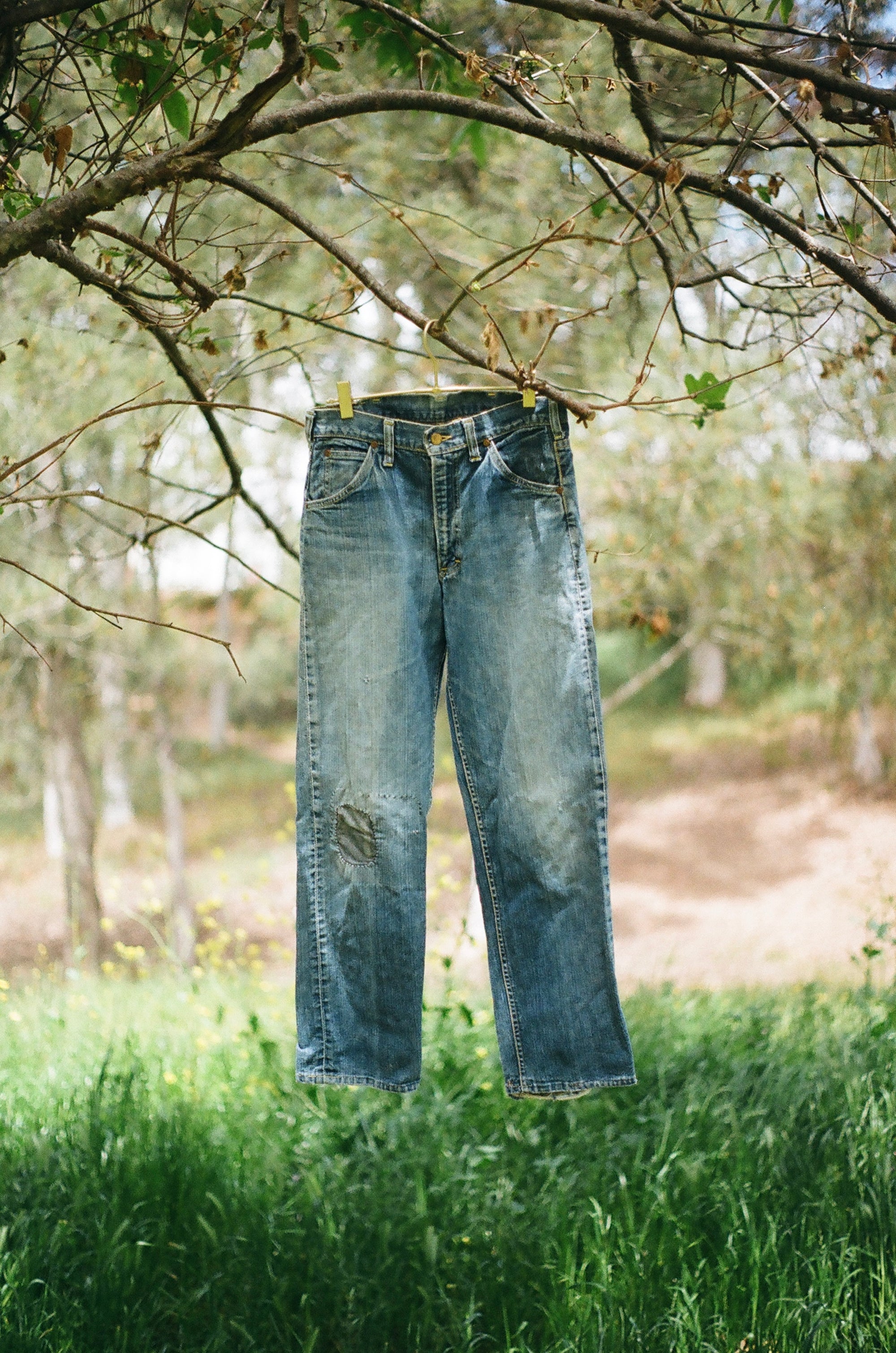 Vintage Union Made Lee Riders