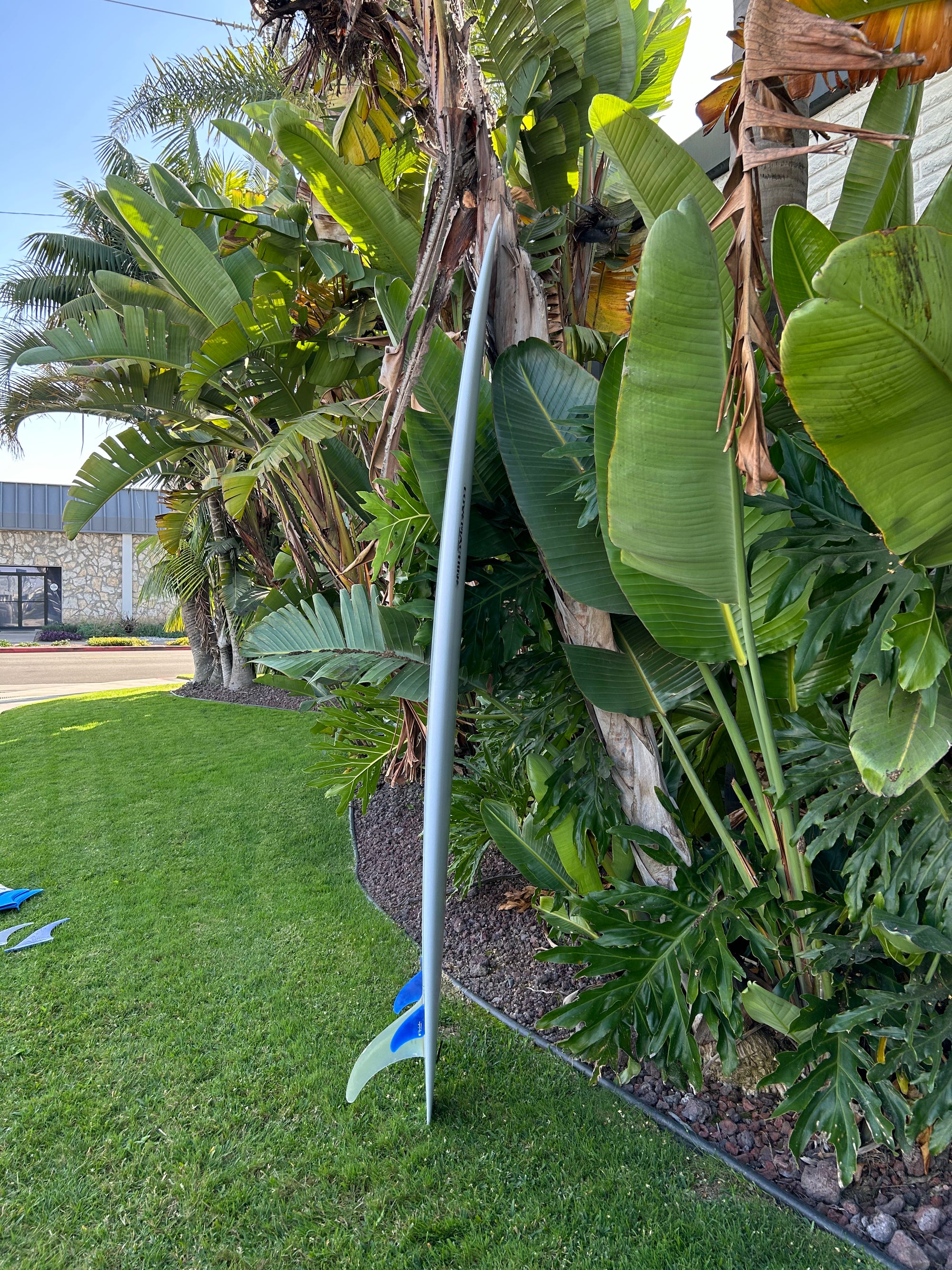 8’1” Lovemachine Evening Star
