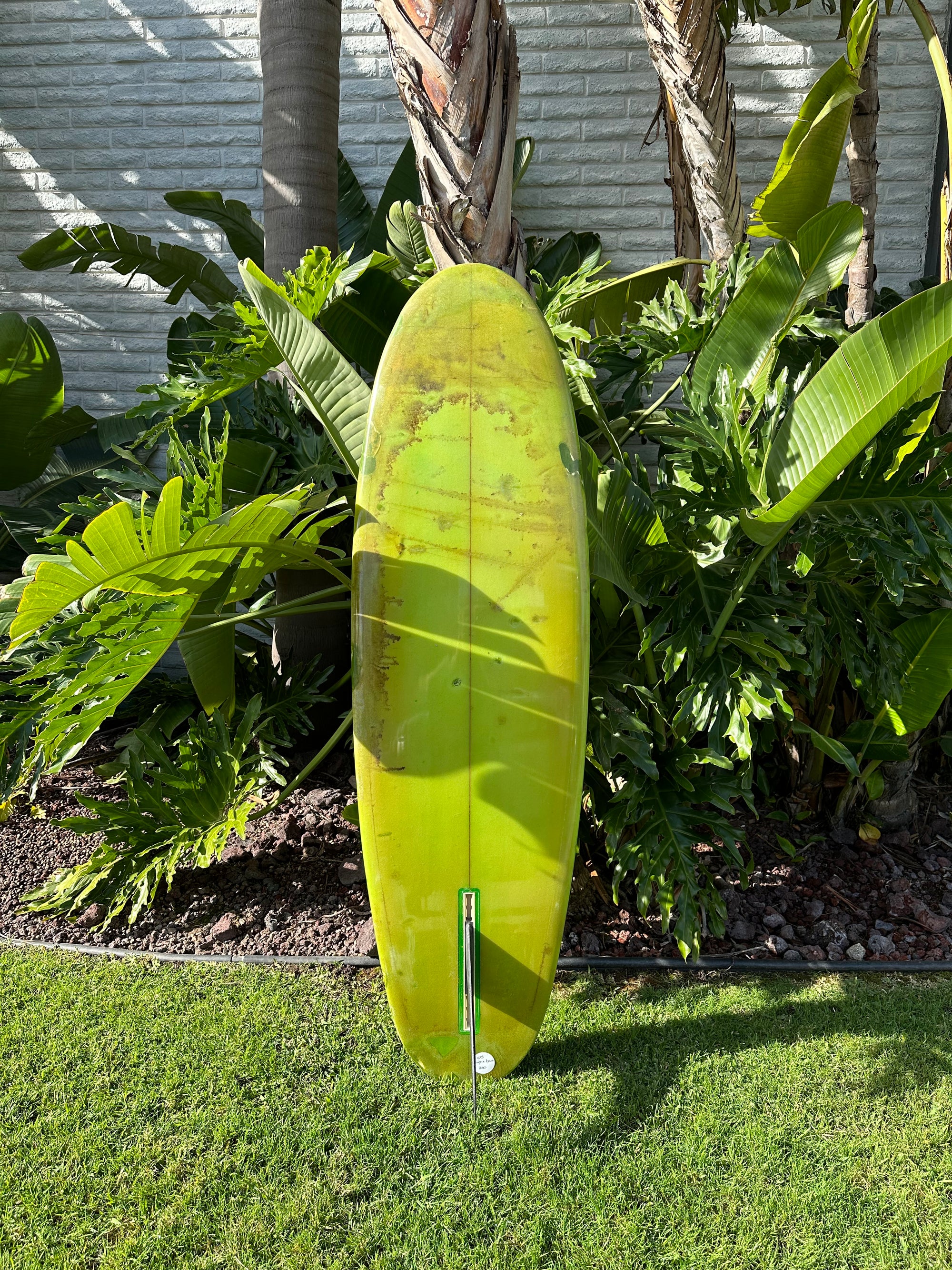 6'2" Wayne Lynch Involvement (Used)