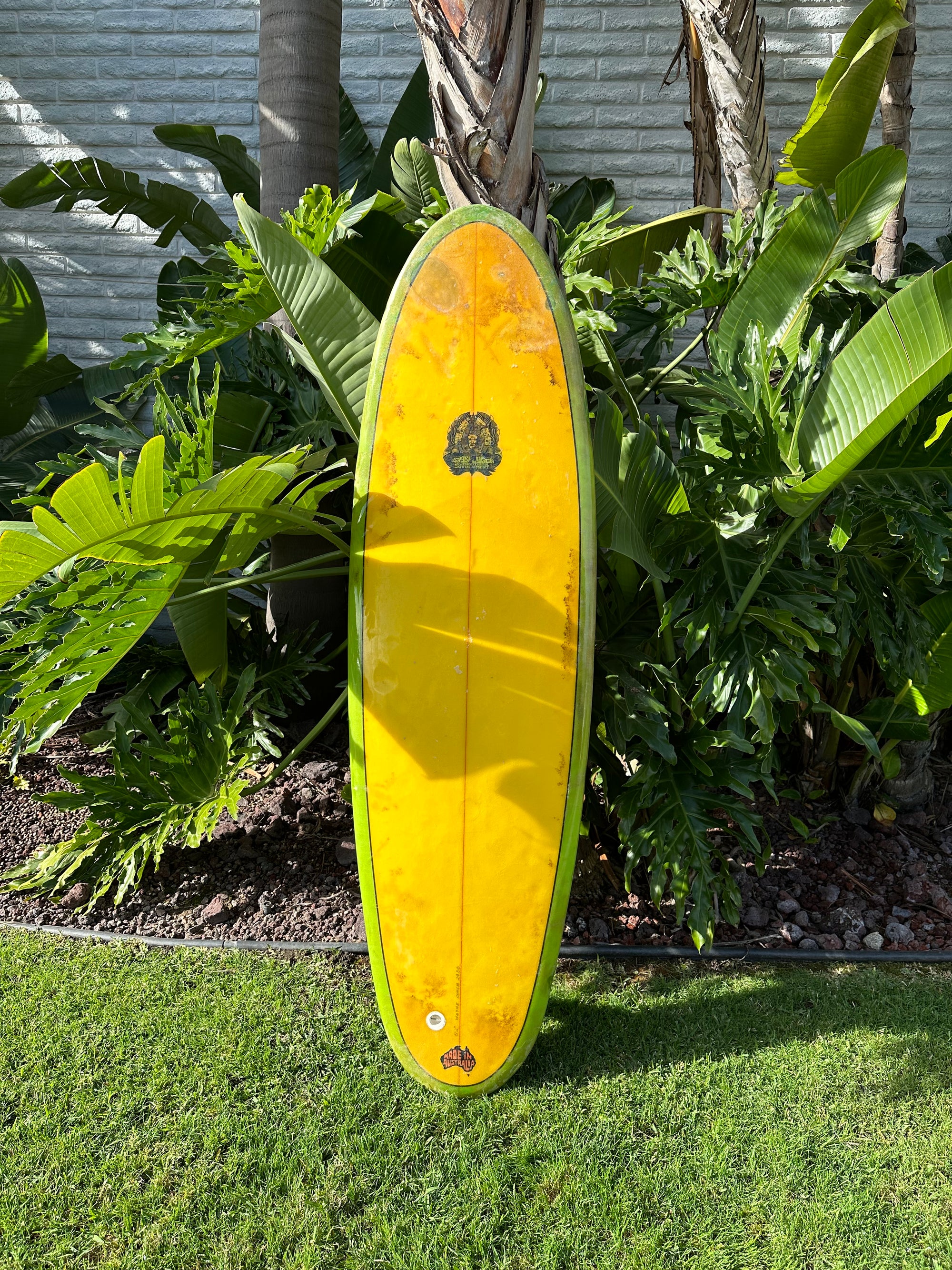 6'2" Wayne Lynch Involvement (Used)