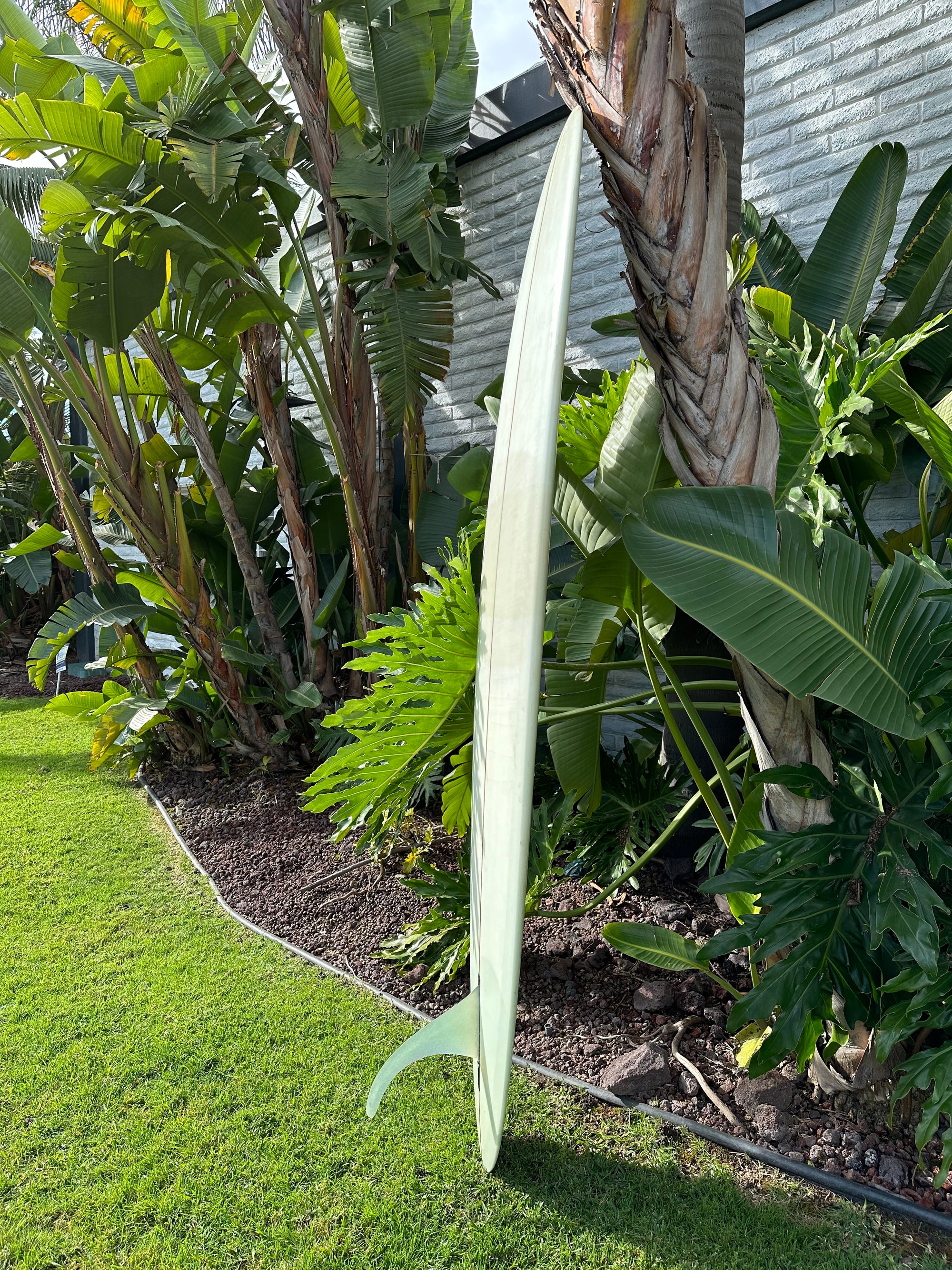 8'0" Gato Heroi Evo Acid (Used)