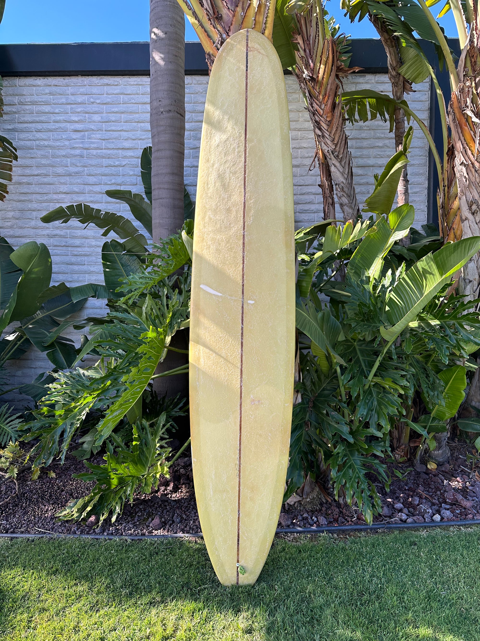 9'7" Gato Heroi Playboy (Used)