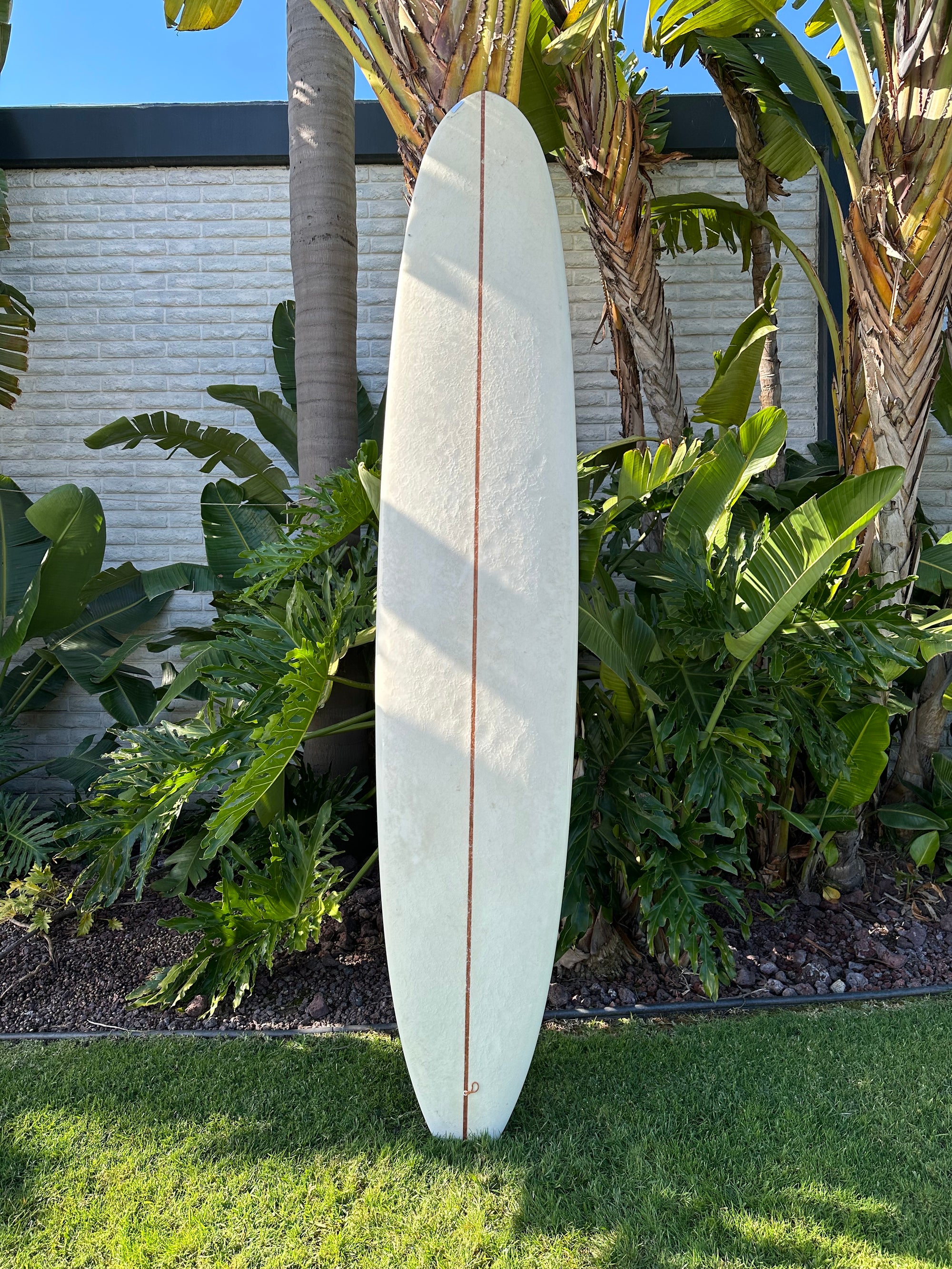 9'7" Arenal Modern Mal (Used)