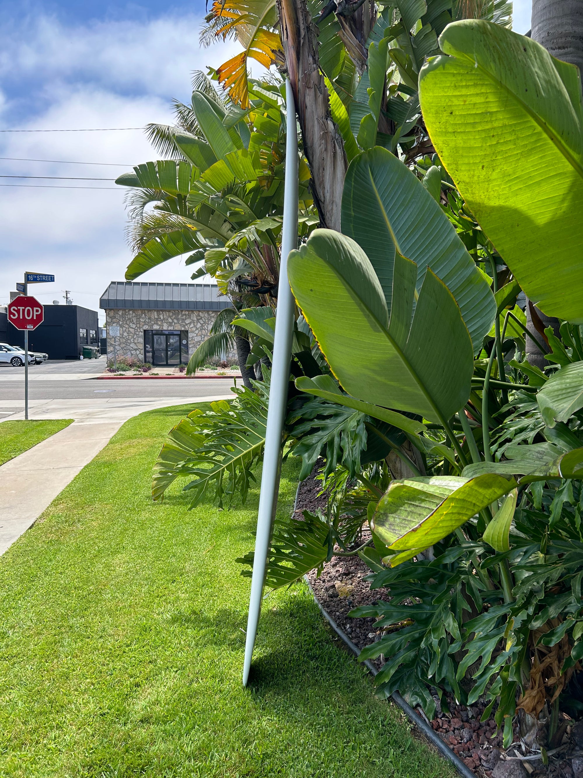 8'8" Andreini Vaquero