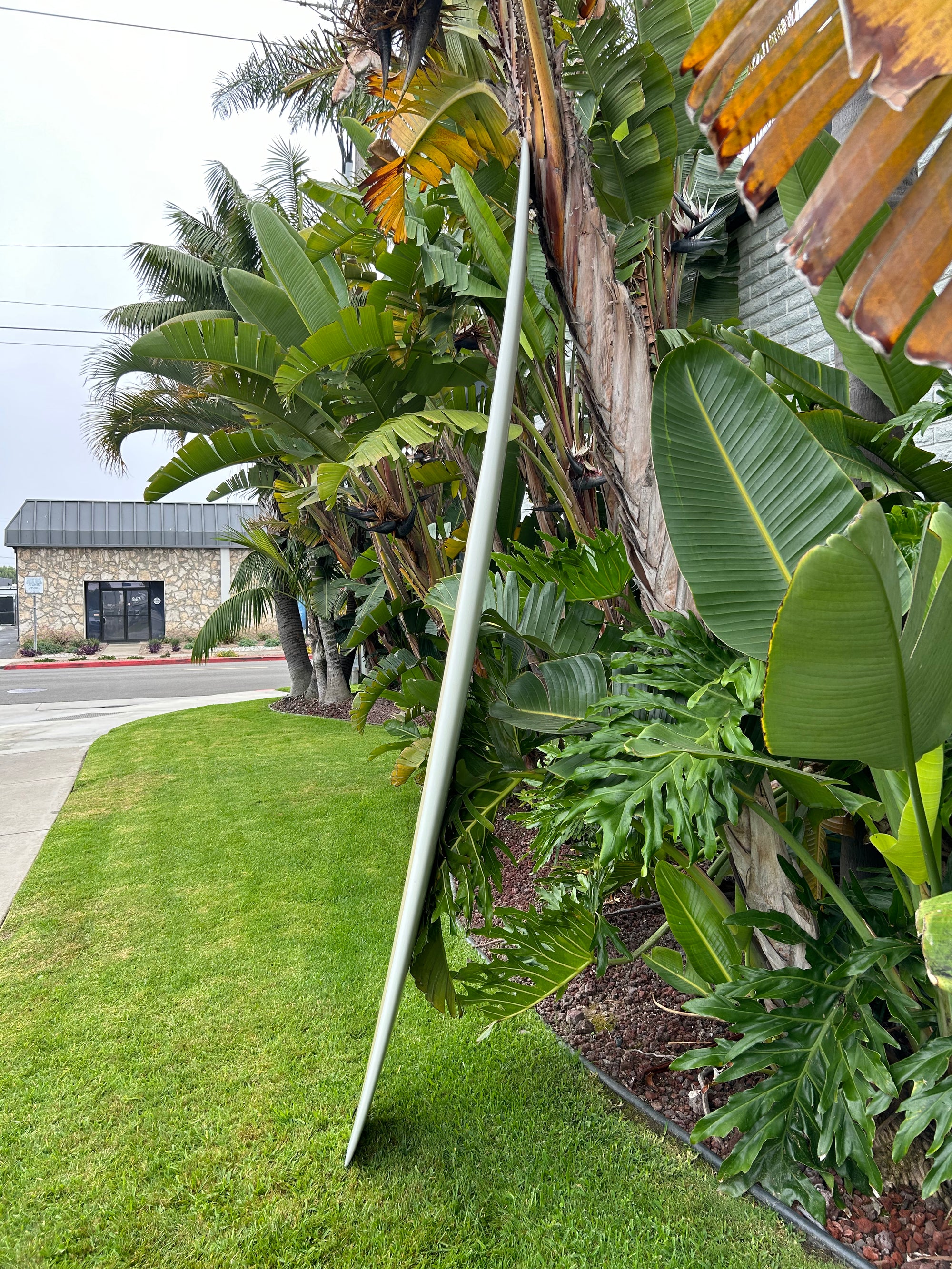 9'6" Gato Heroi Californian (Polyola Blank)