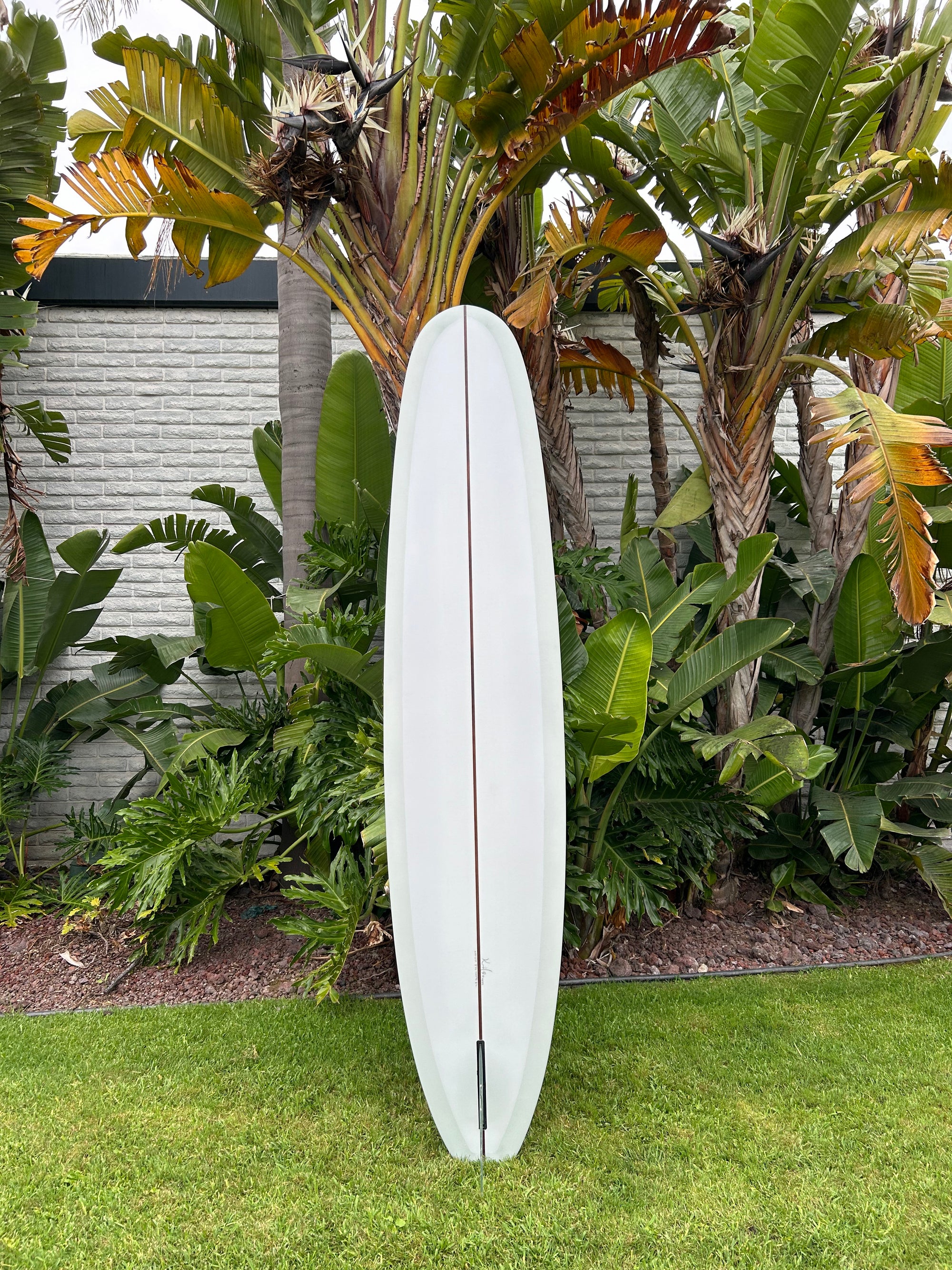 9'4" Kris Hall Daily Cup