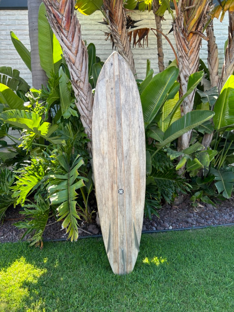 7'6" Andreini Agave Bonzer