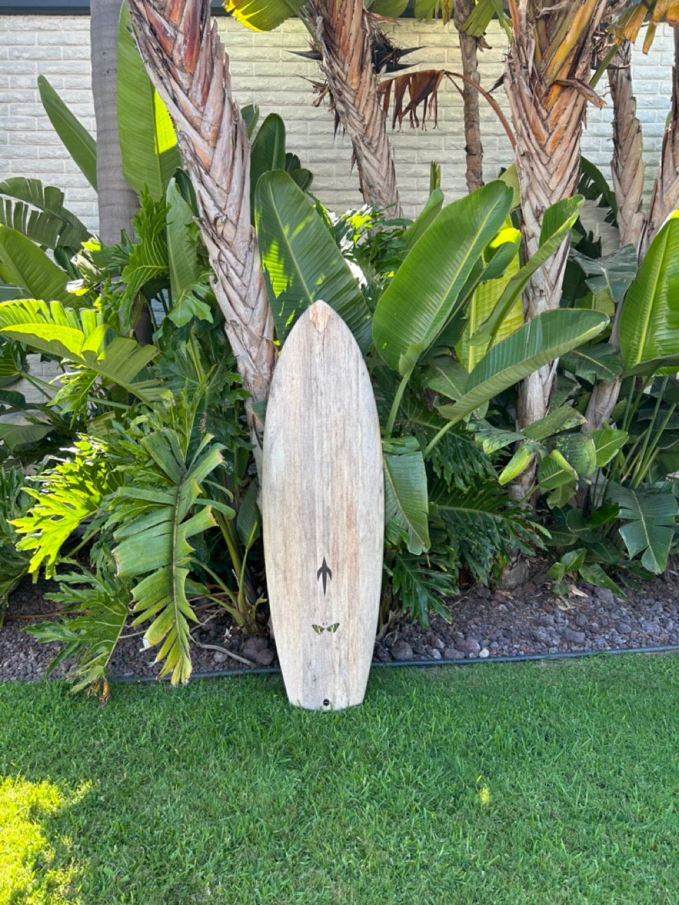 5'6" Daniel Jones Agave Quad (Used)