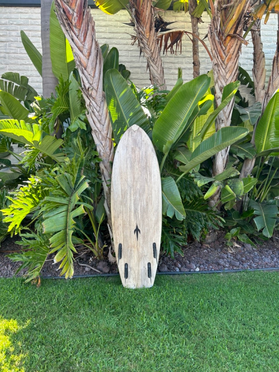 5'6" Daniel Jones Agave Quad (Used)
