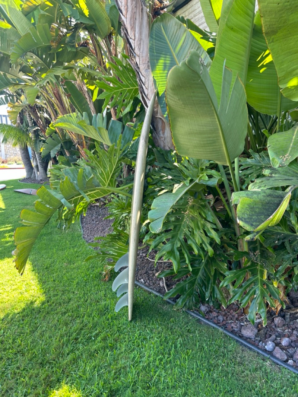 5'6" Daniel Jones Agave Quad (Used)