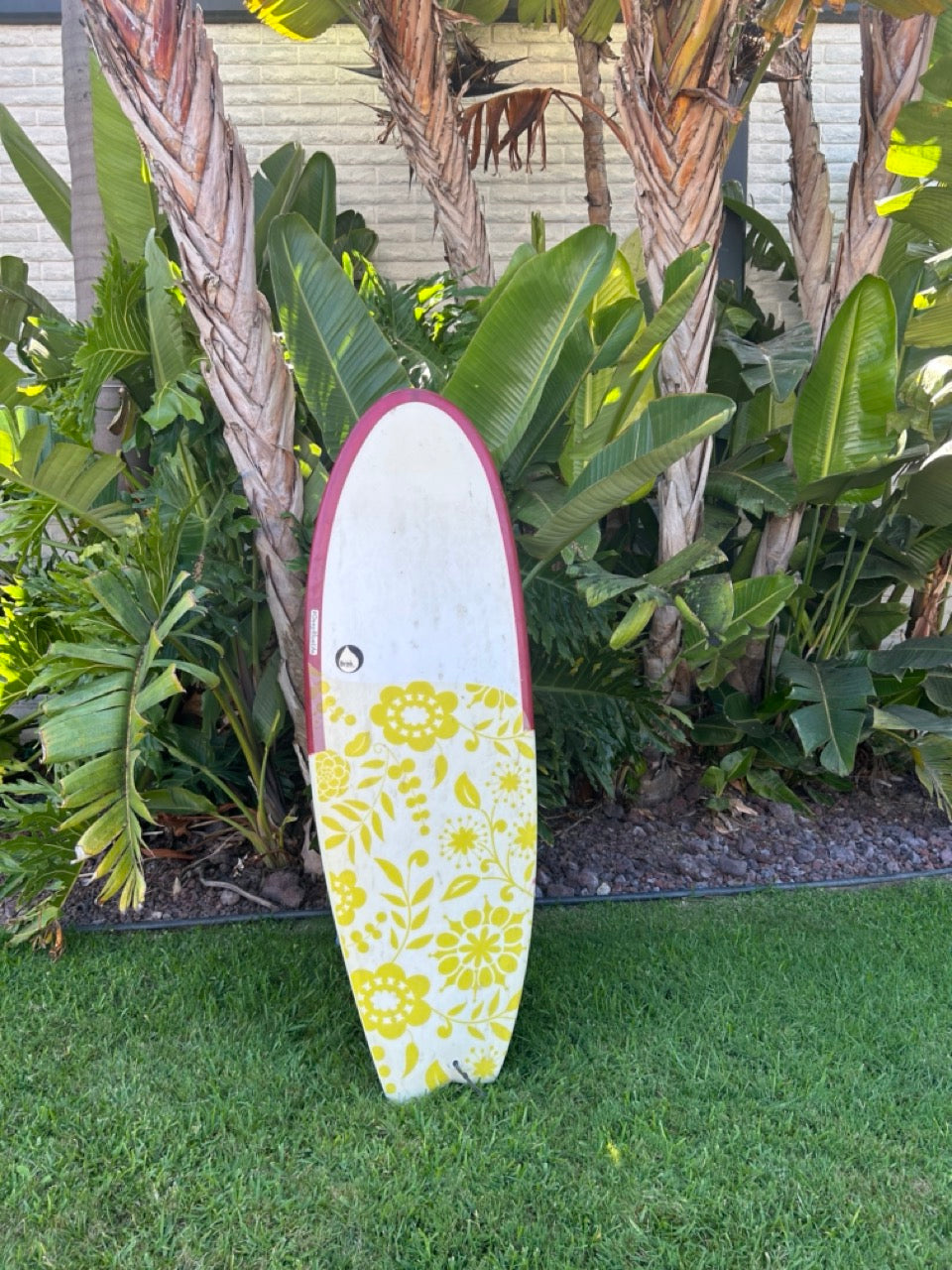 5'4" Brink Asymmetric Thruster (used)