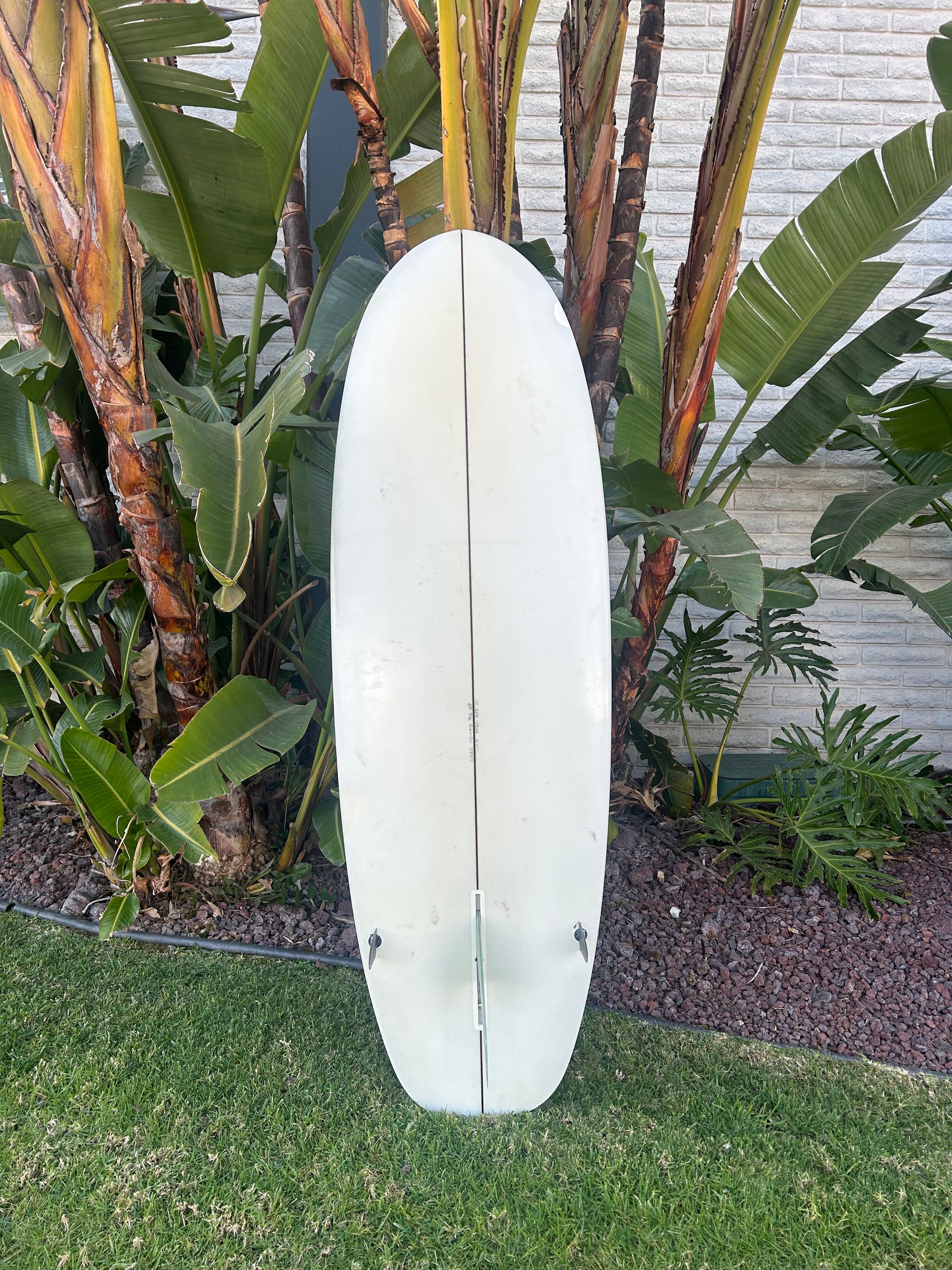 Used Liddle Surfboard Backside
