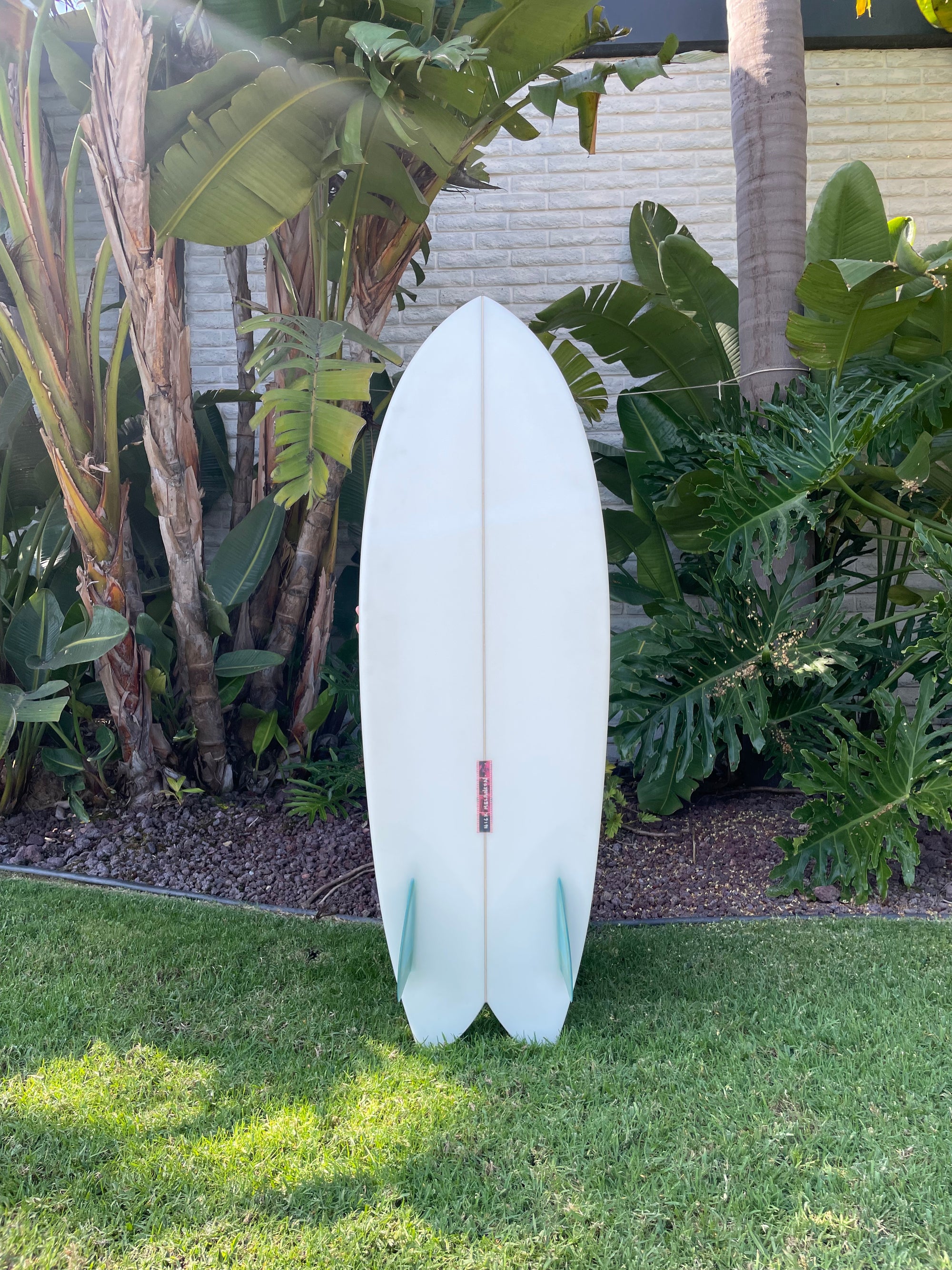 5'5" Nick Melanson Fish