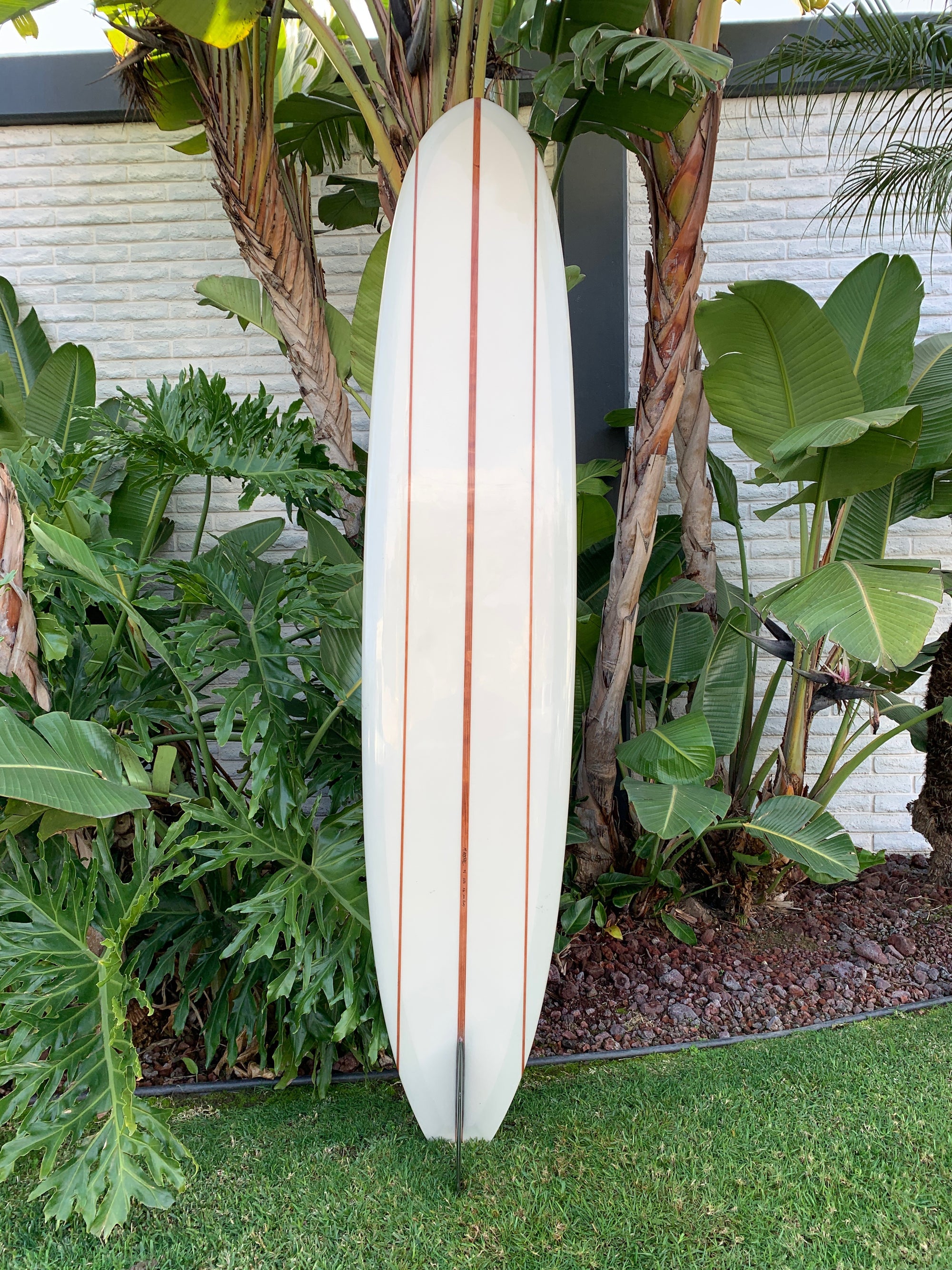 9&#39;6&quot; Arenal Dreamer