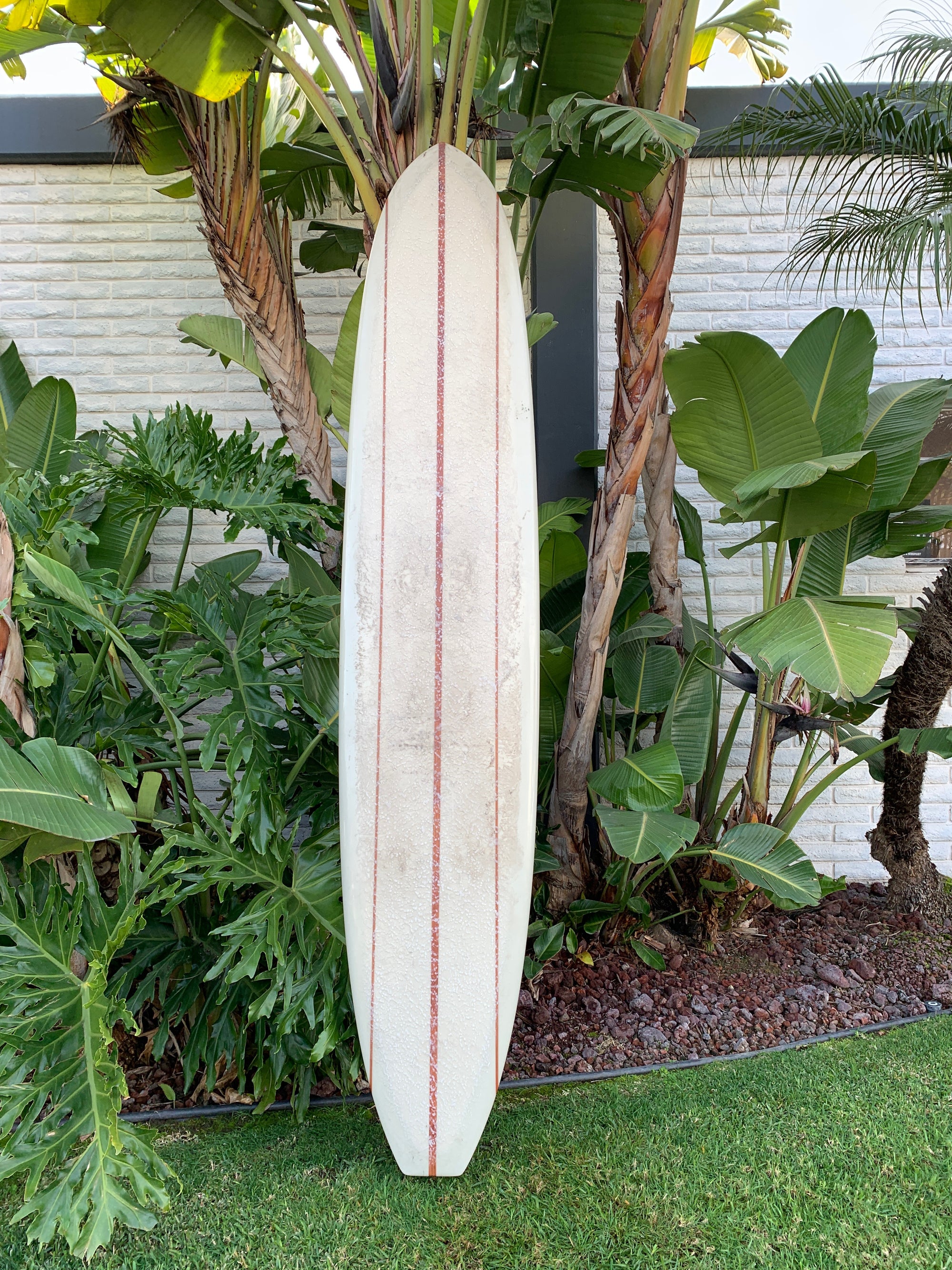 9&#39;6&quot; Arenal Dreamer
