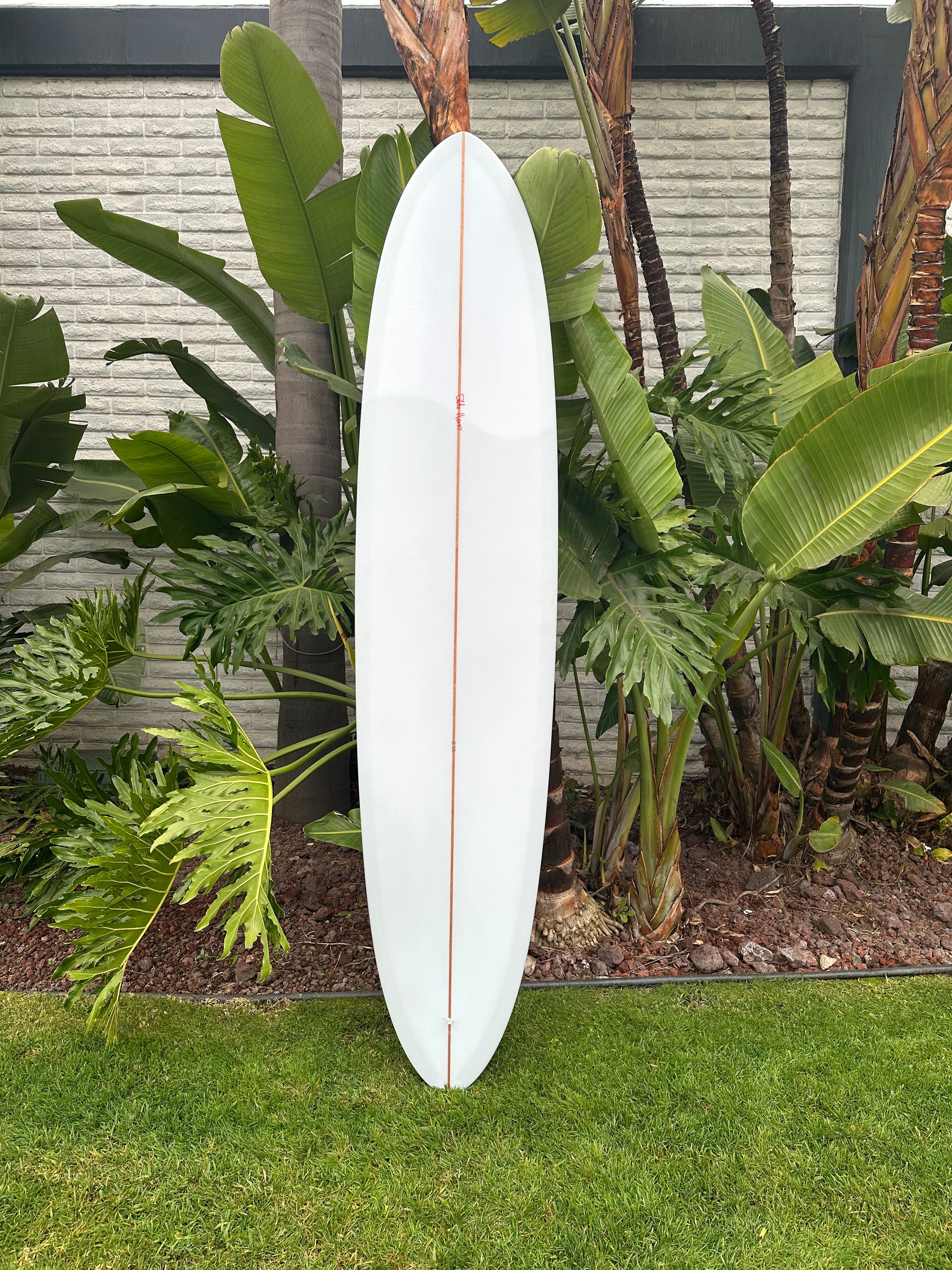 8’4” Gato Heroi Surfar