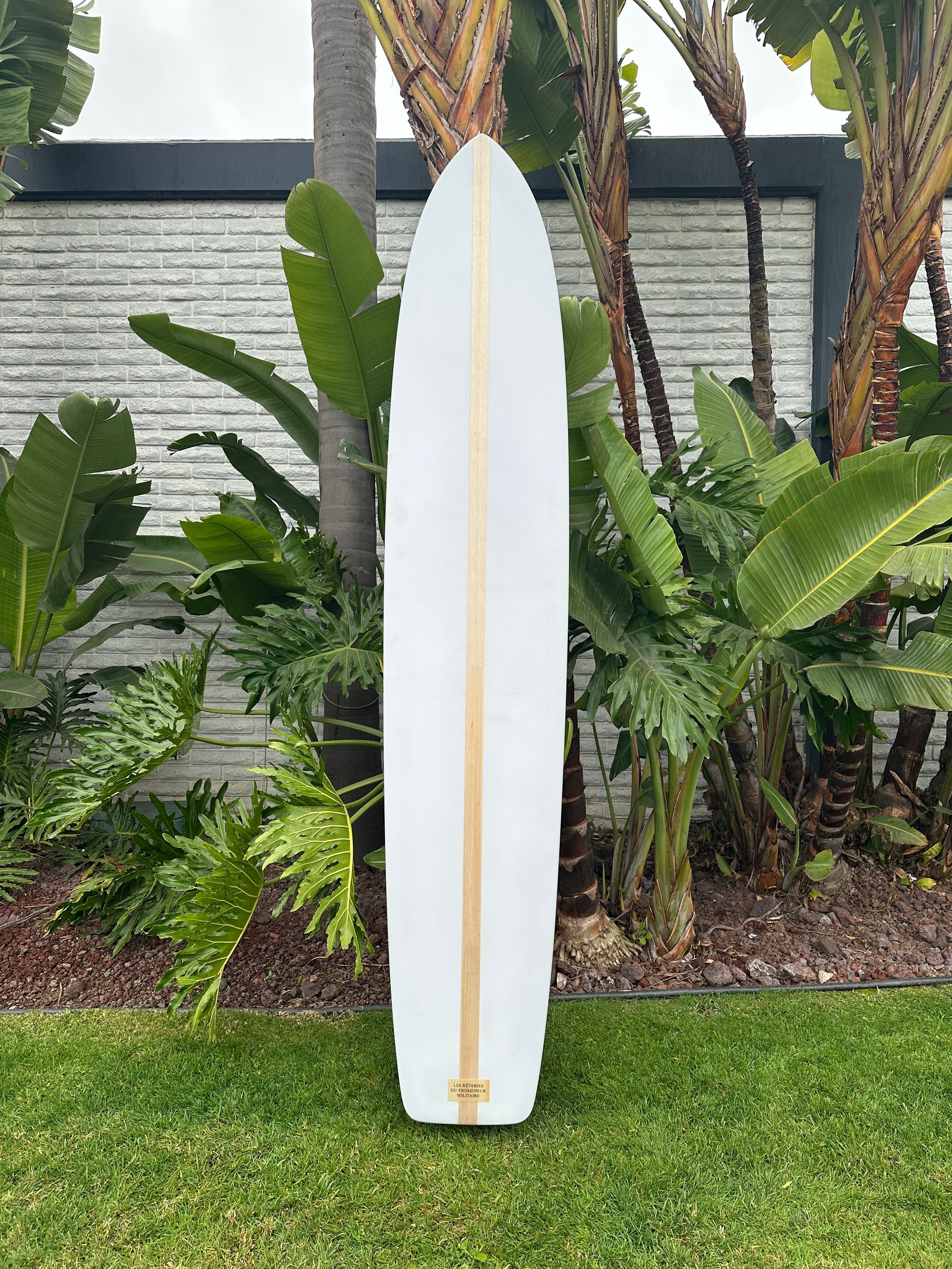 9'8" Fantastic Acid Malibu Chip
