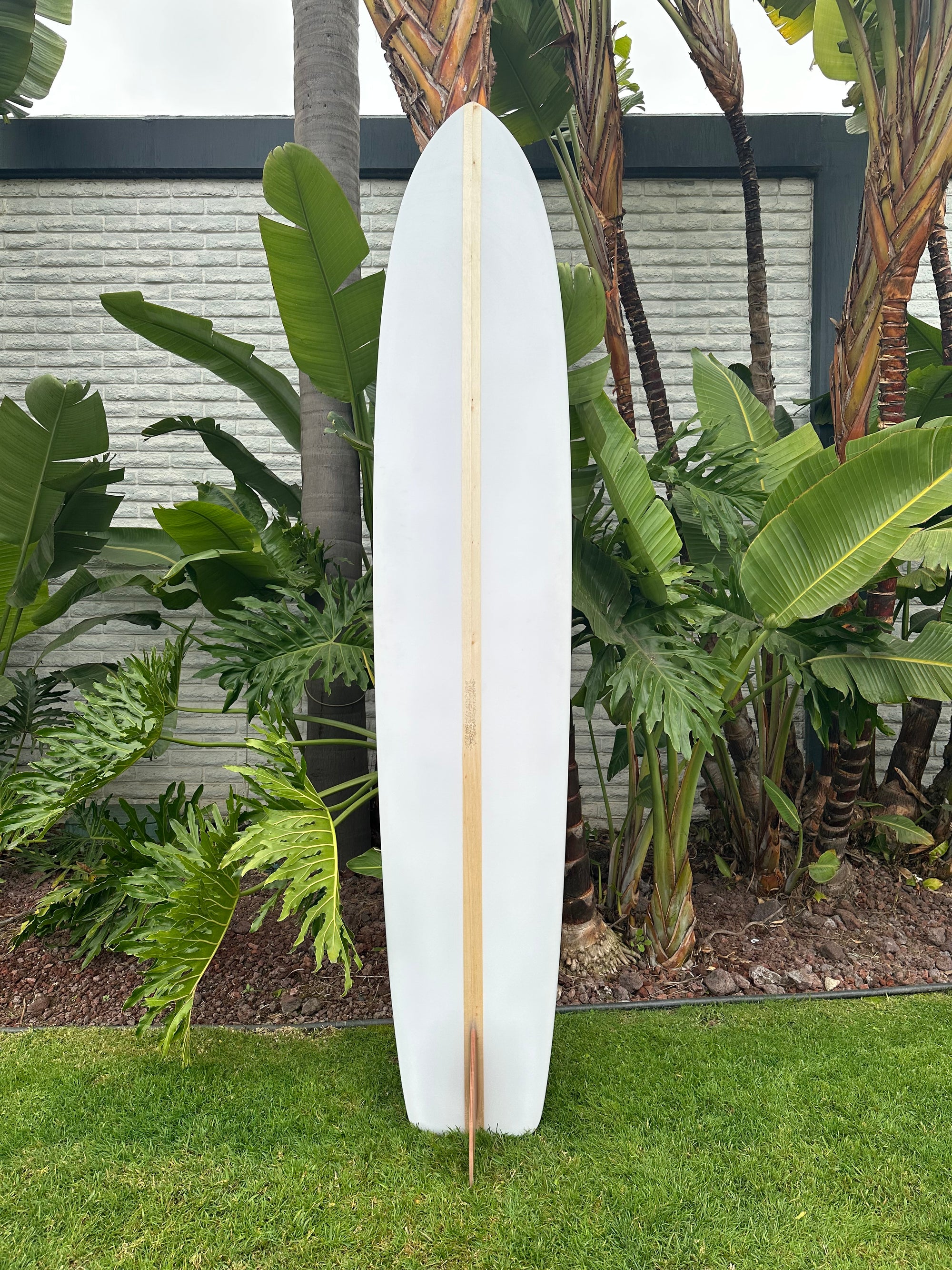 9'8" Fantastic Acid Malibu Chip