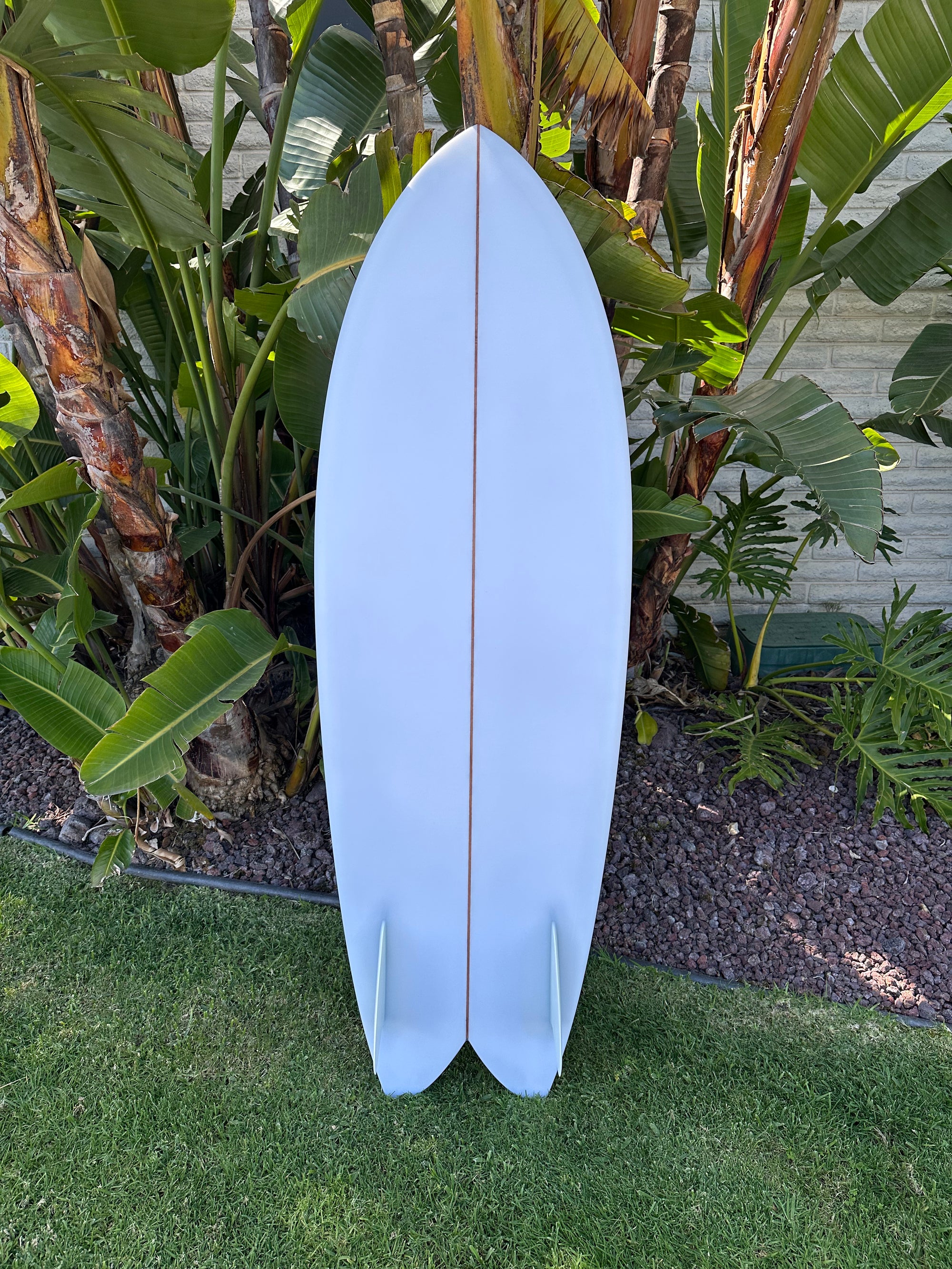 5'6" Elmore My Fish
