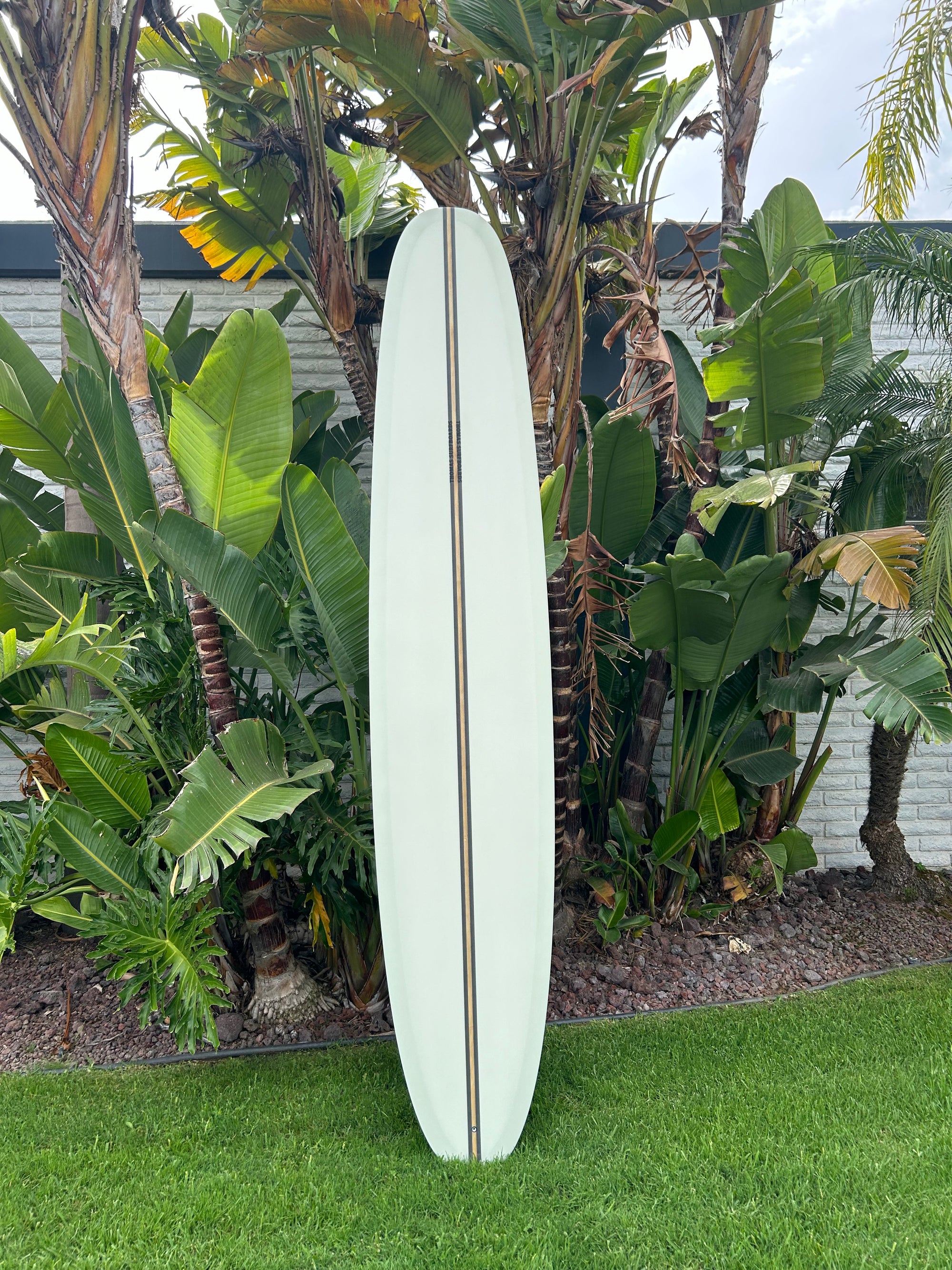 10'0" Thomas Surfboards Hariot