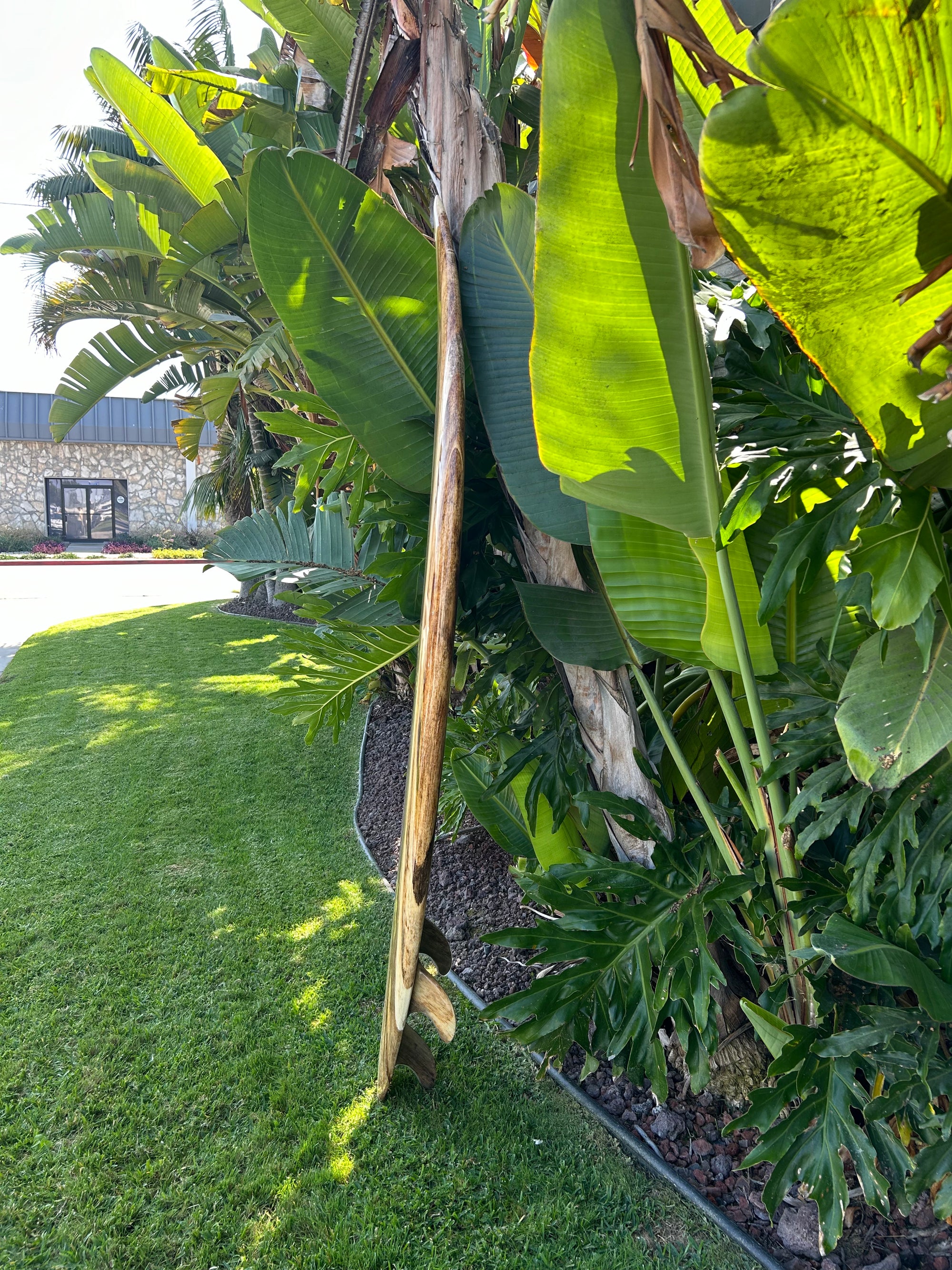 7'7" Gary Linden Saquarema Model