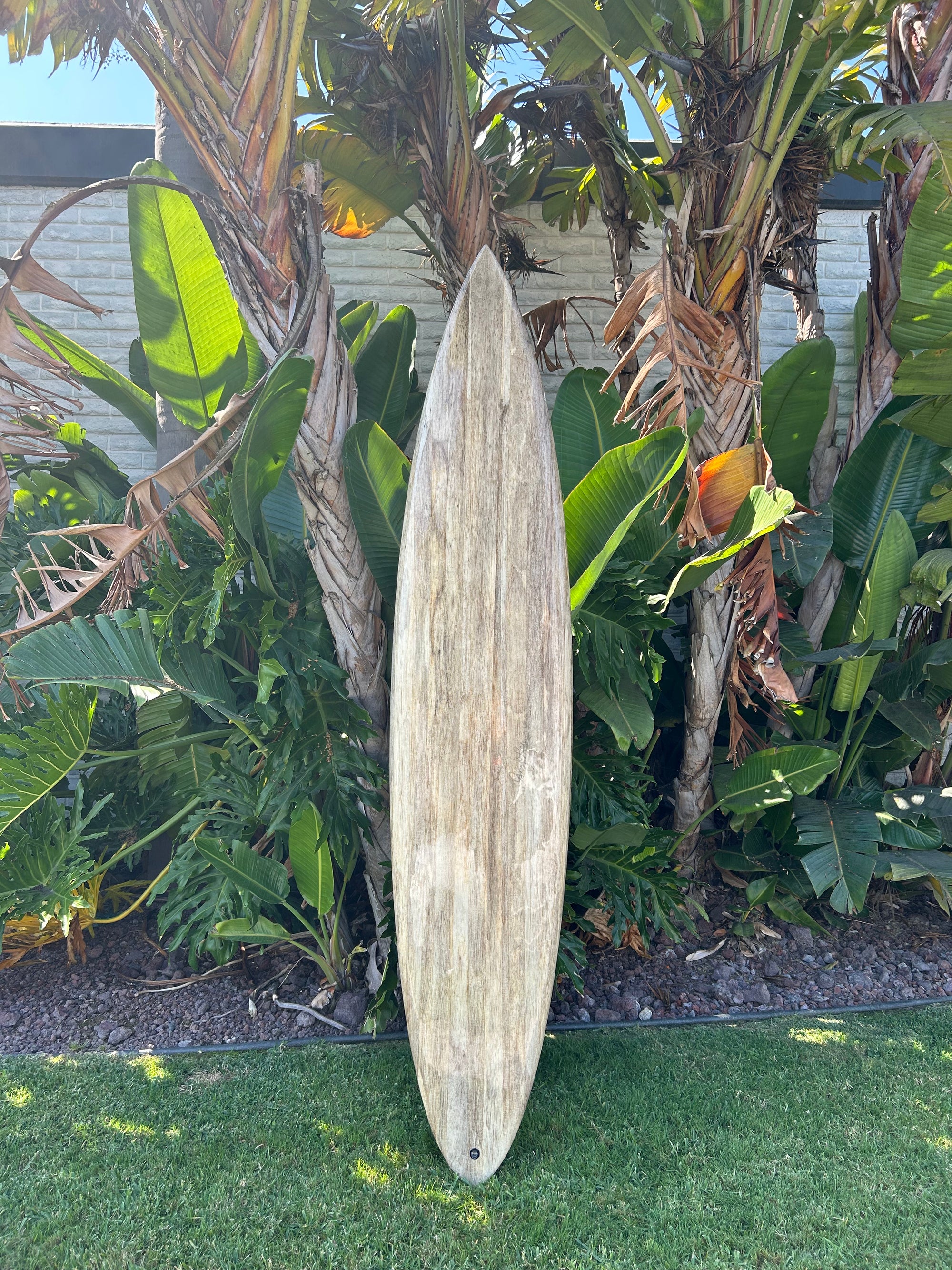 8'6" Gary Linden Todos Model