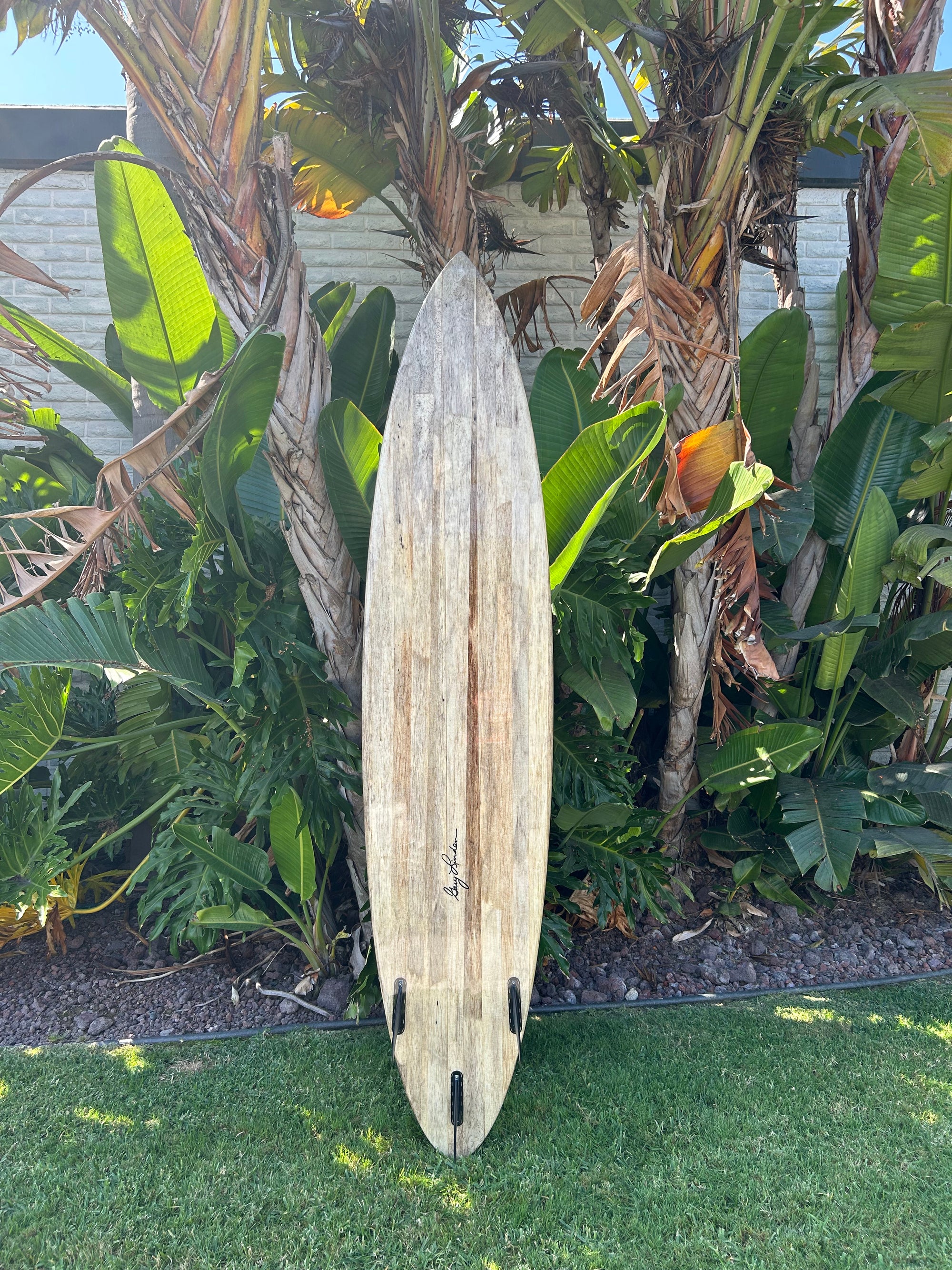 8'6" Gary Linden Todos Model