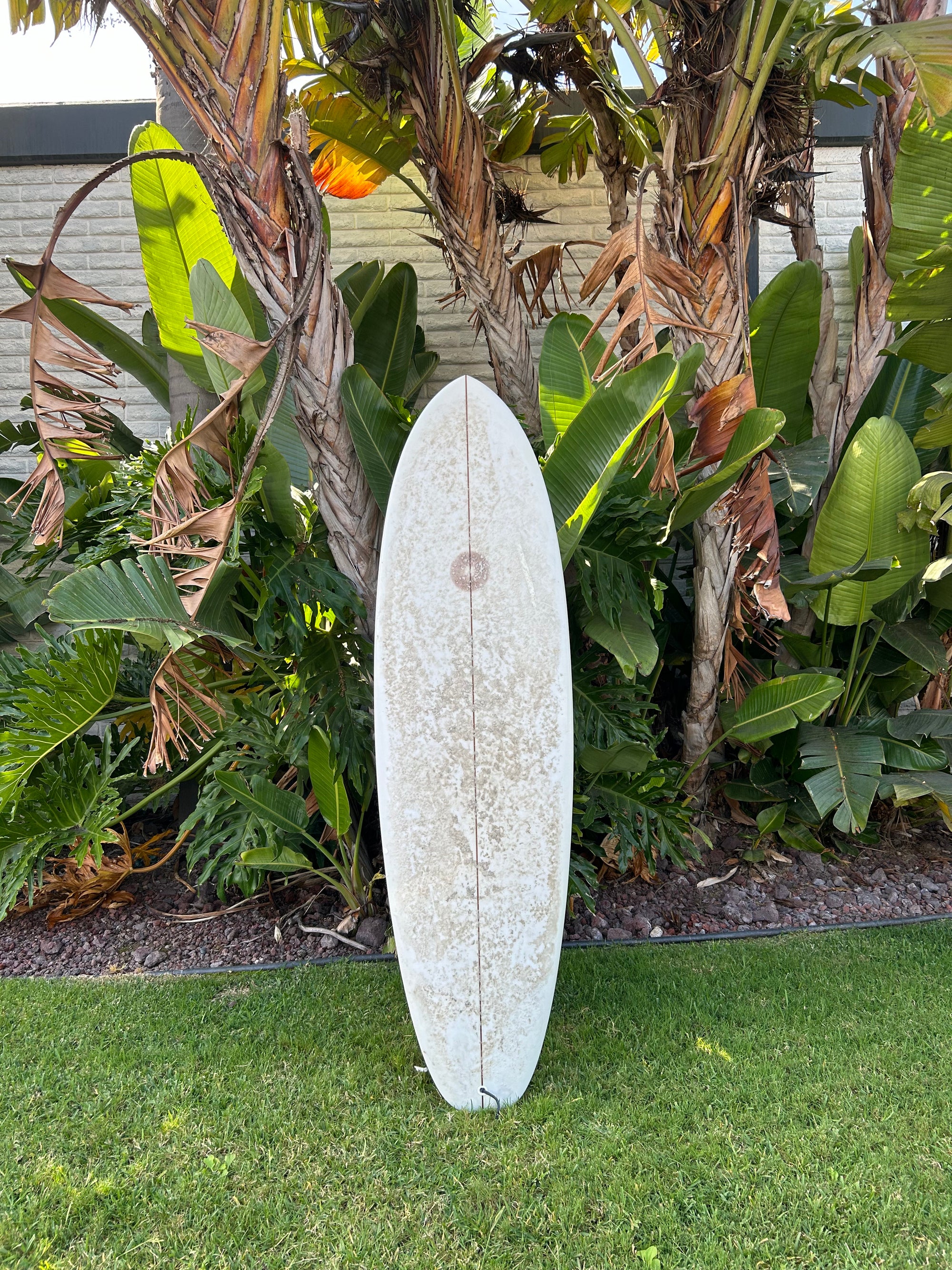 6’ 6" Mas Wavos Hull (Used)