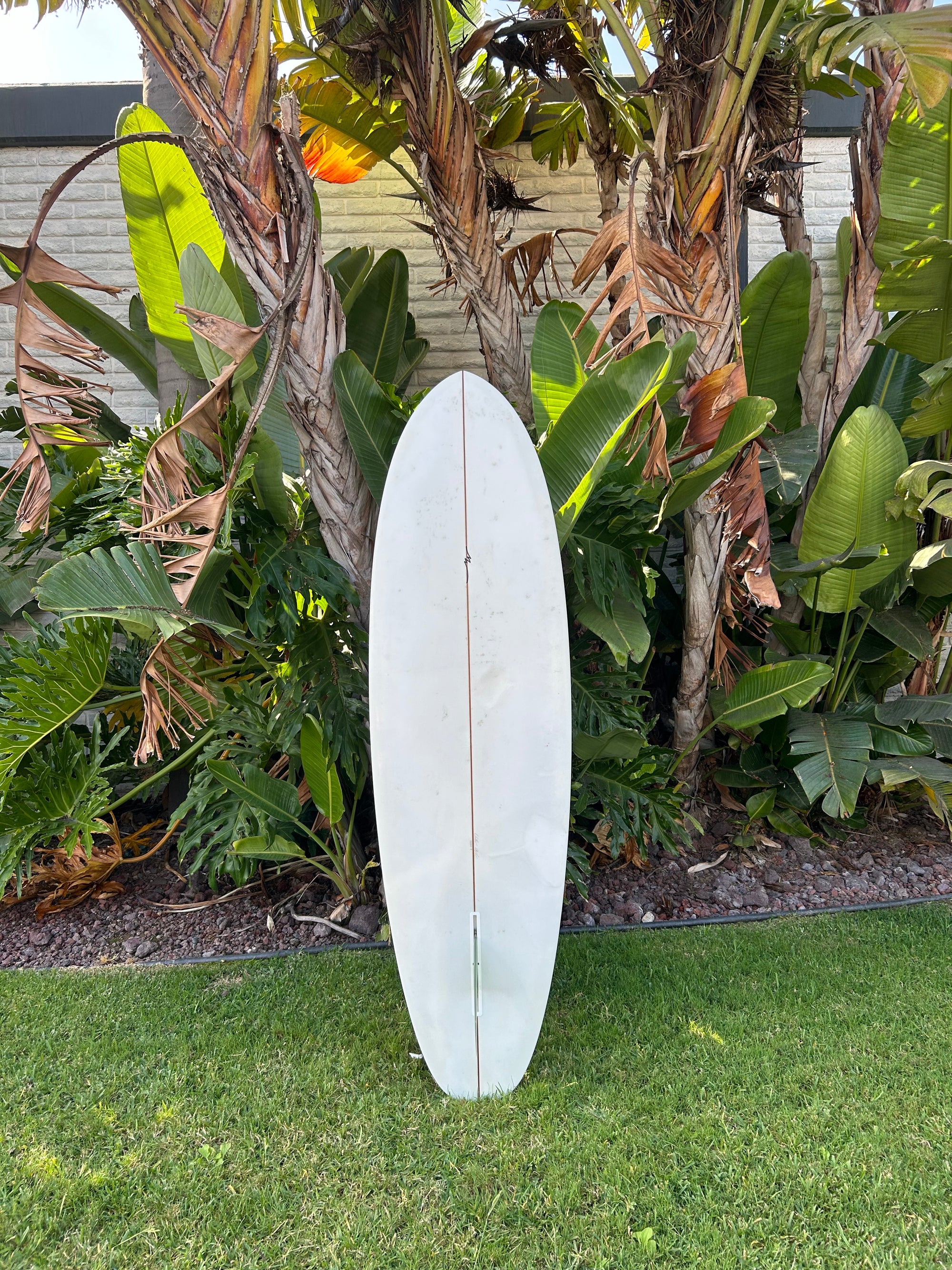 6’ 6" Mas Wavos Hull (Used)