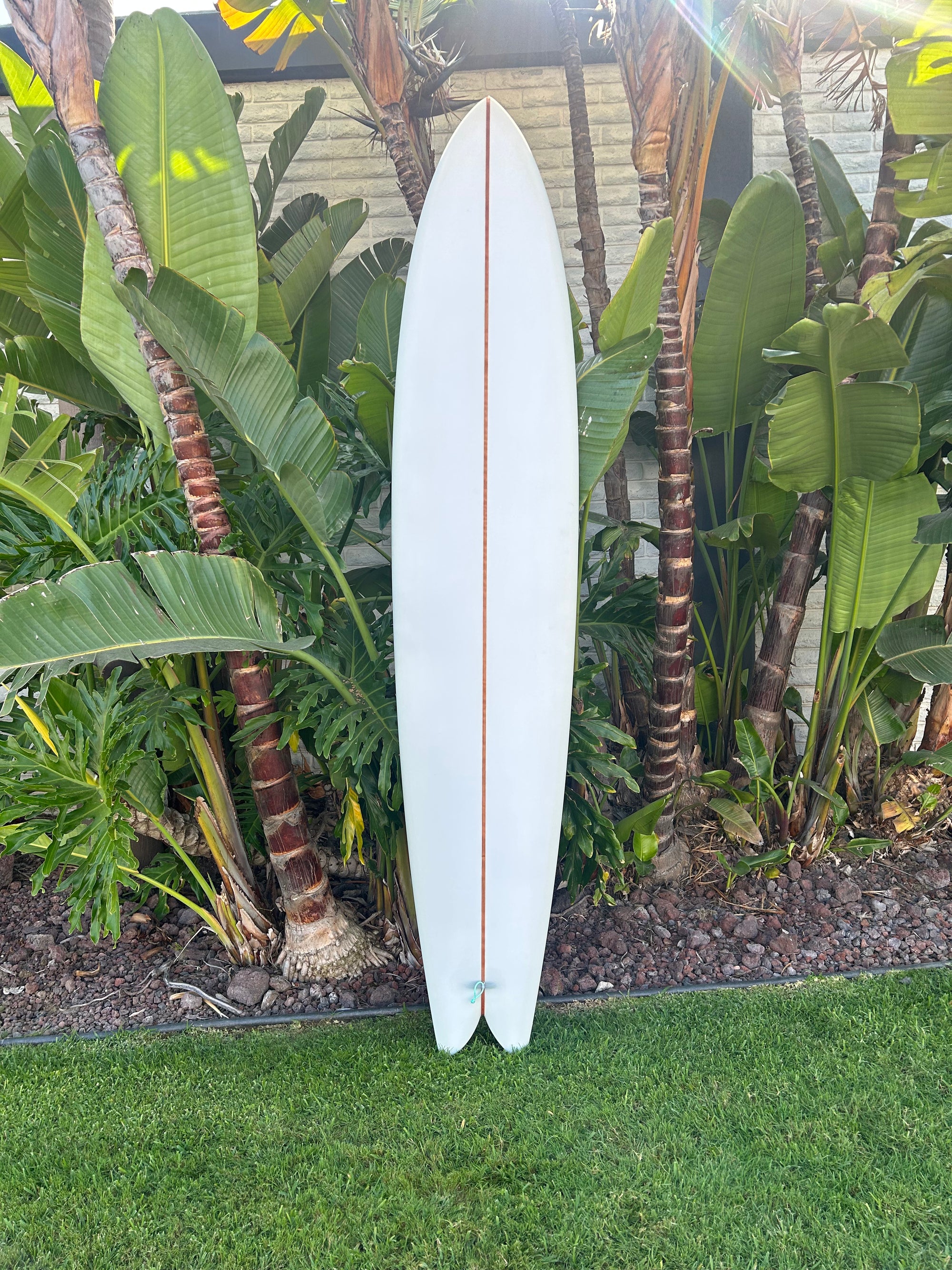 8'6” Spacetime Dharma Cat