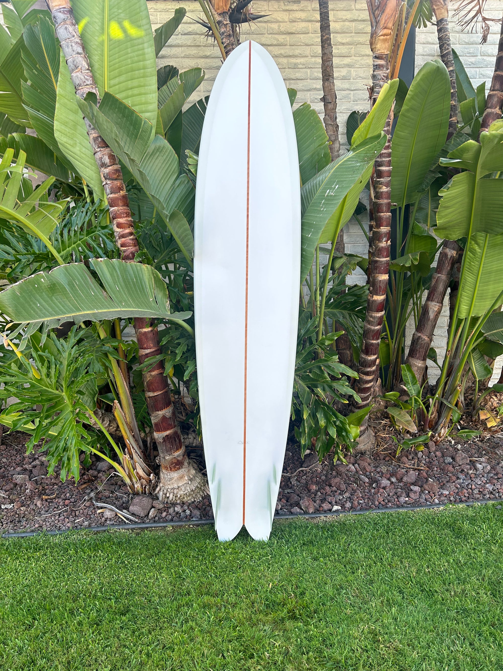 8'6” Spacetime Dharma Cat