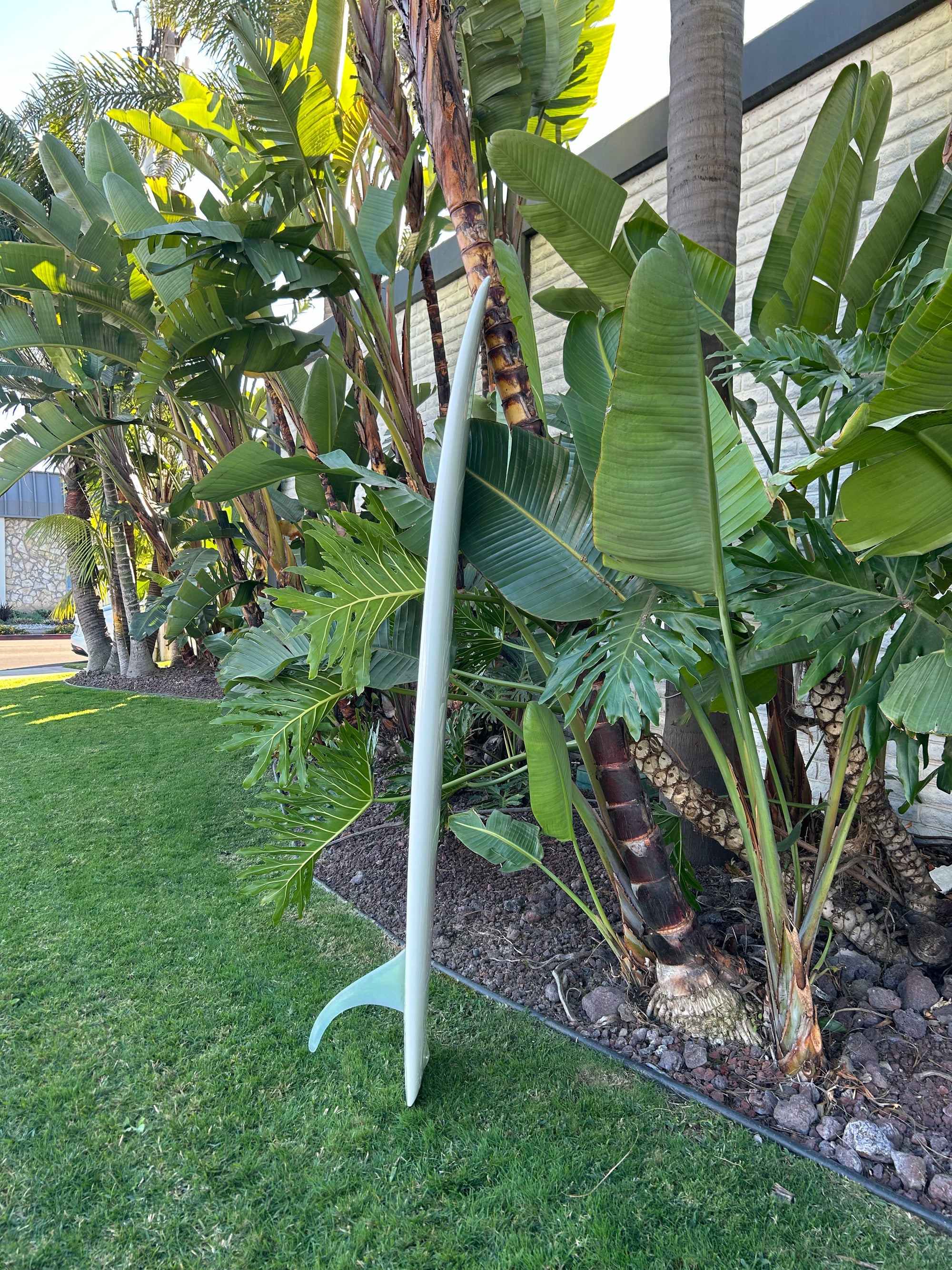 7'4" Bob McTavish Plastic Machine